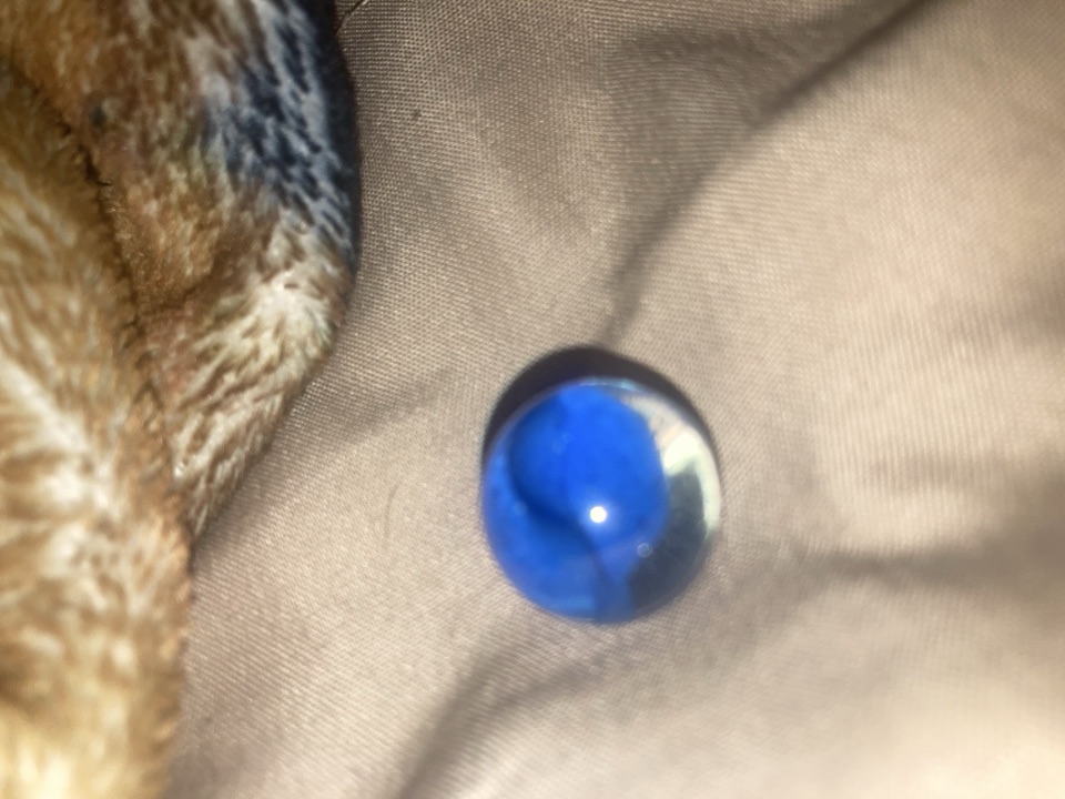 Blue Cat's Eye by Modern Asian - Vacor de Mexico / Chinese, identification view