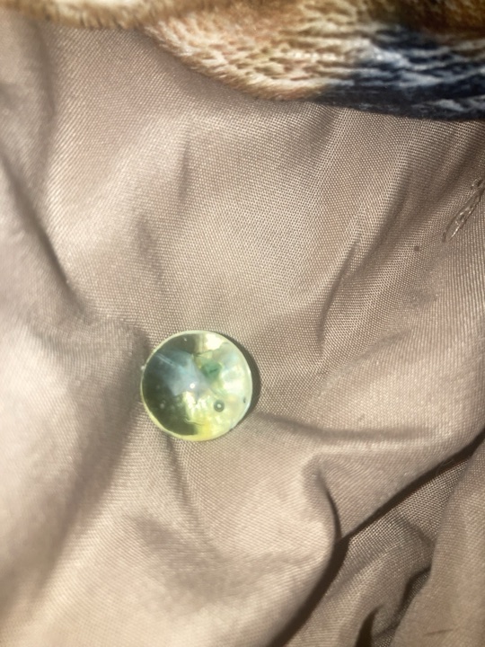 Yellow Cat's Eye with White Vane by Vitro Agate, identification view