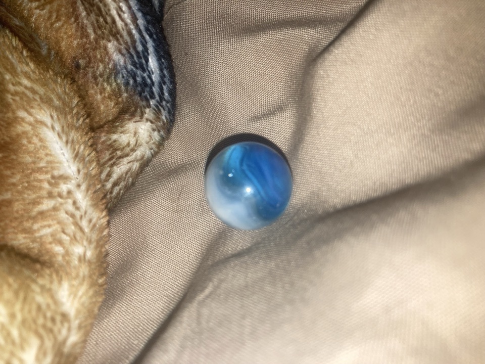 Blue Parrot by Vitro Agate, identification view
