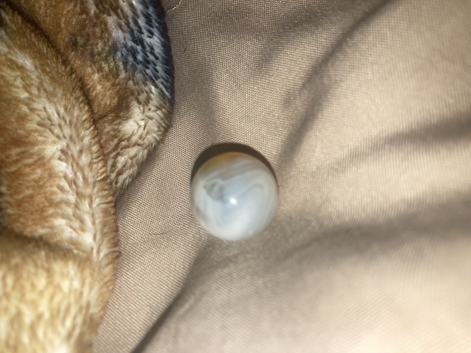 Egg Yolk Patch by Akro Agate, identification view