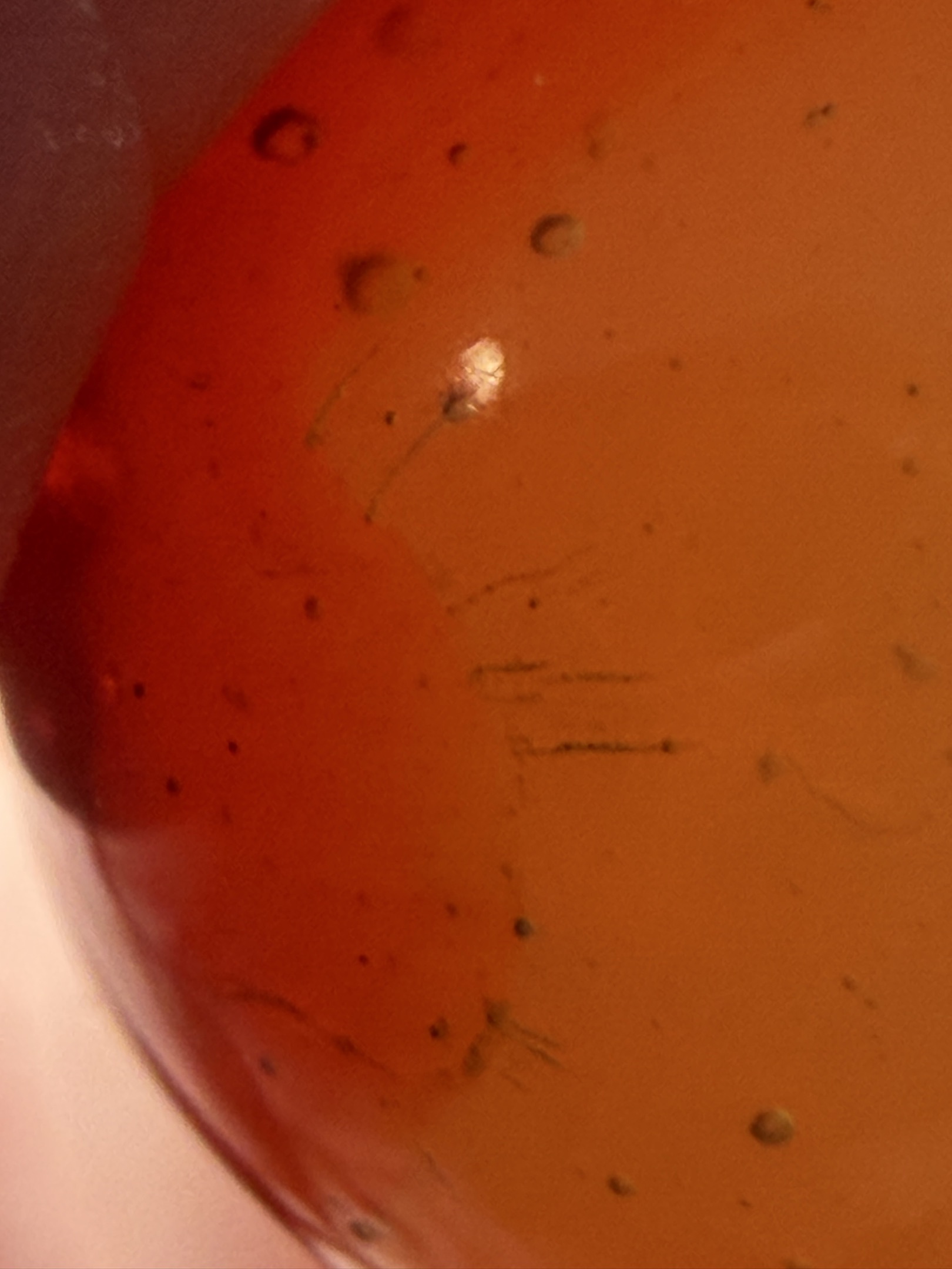 Amber Imperial Slag by Akro Agate Company
