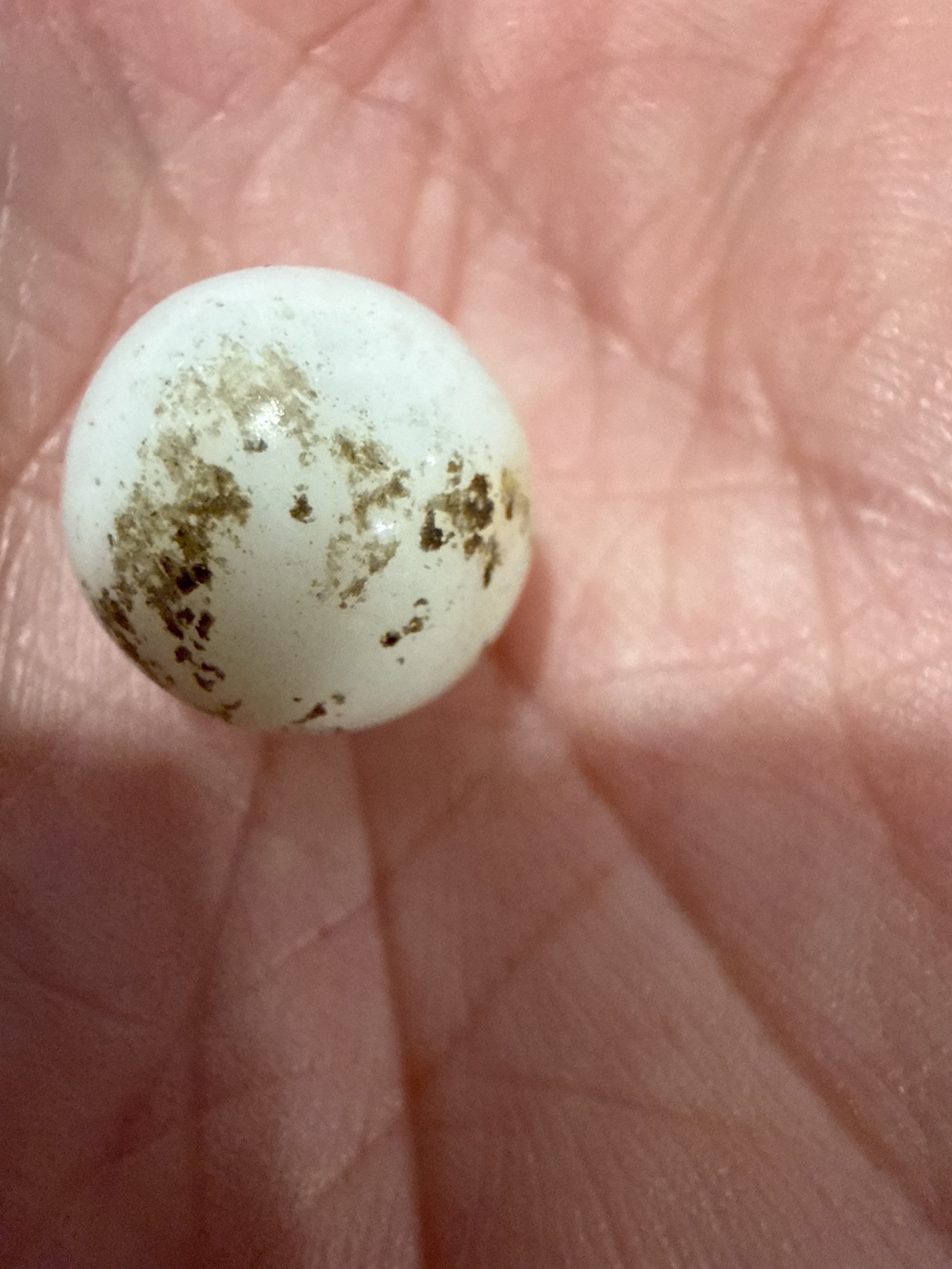 Milk White Opaque by Vitro Agate, identification view