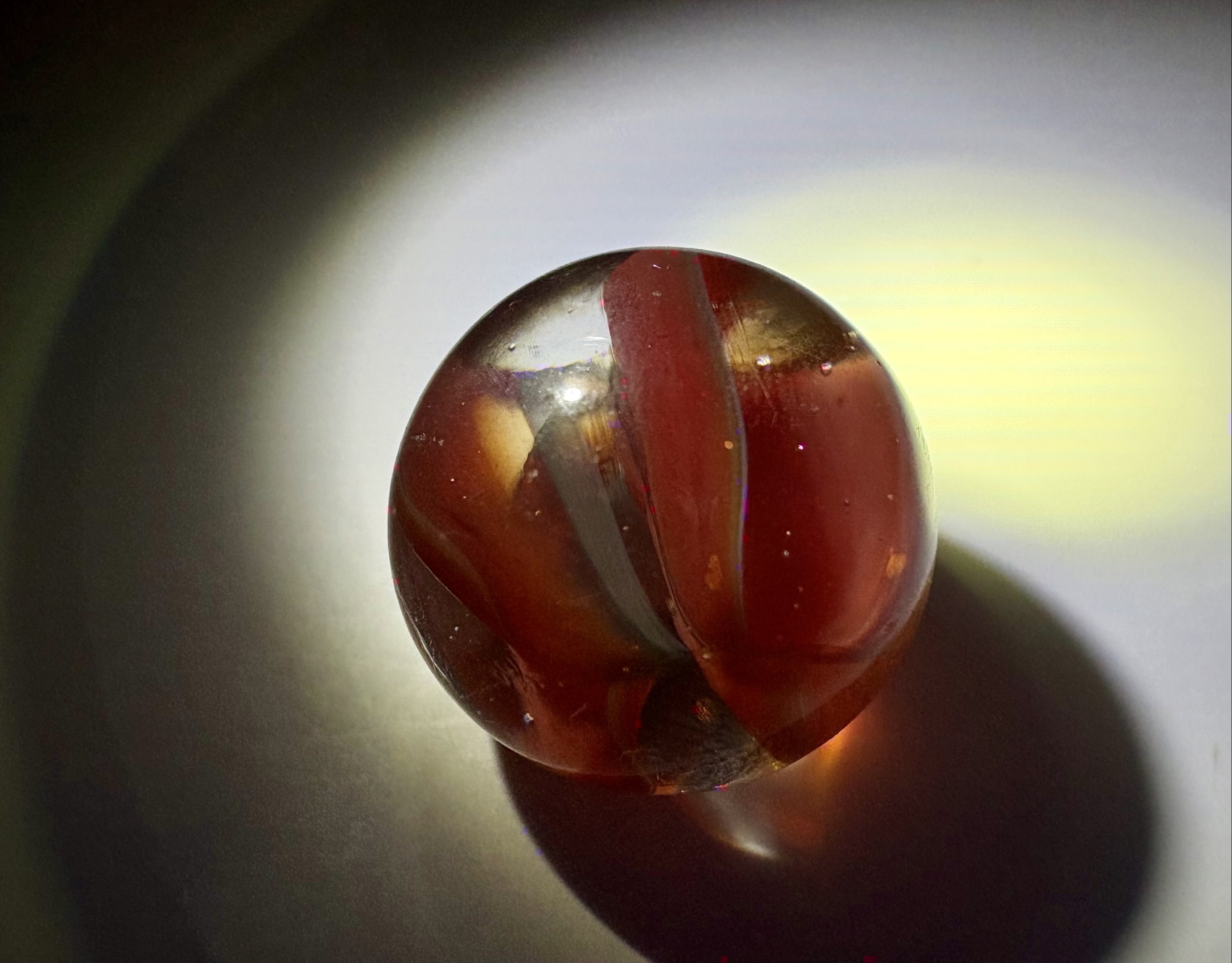 6-Vein Hybrid Cat's Eye by Marble King, identification view