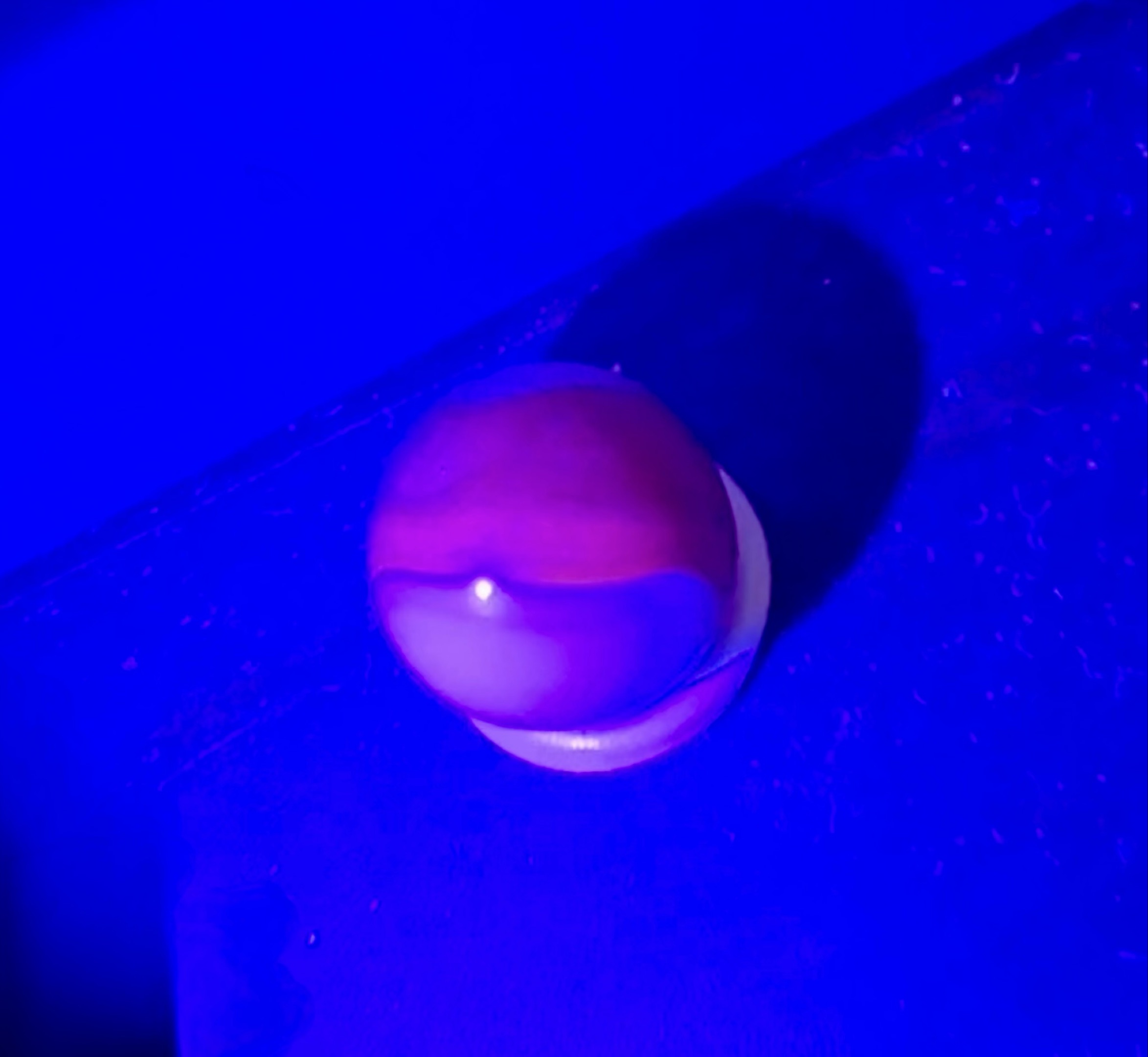 Red & White Swirl (Selenium Glow) by Akro Agate, identification view