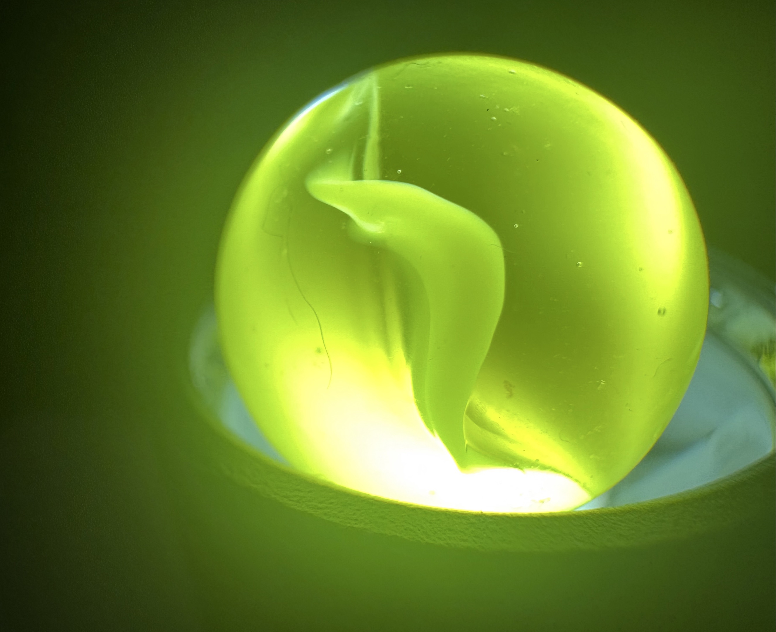 UV Reactive Cat's Eye by Marble King, identification view