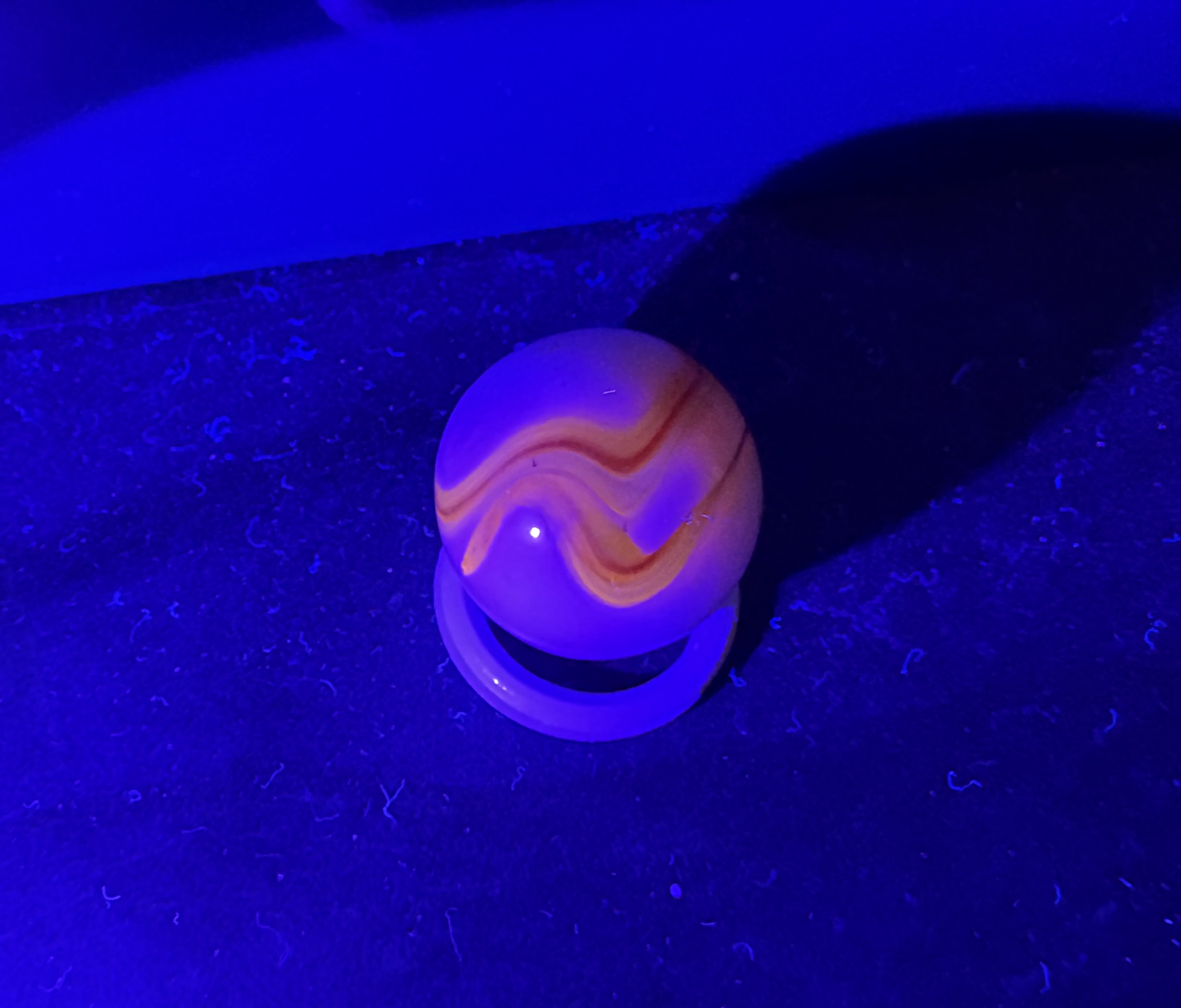 Firecracker by Heaton Agate Company, identification view