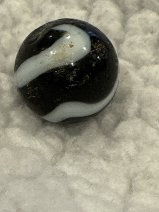 Zebra - Black with White by Peltier Glass Company