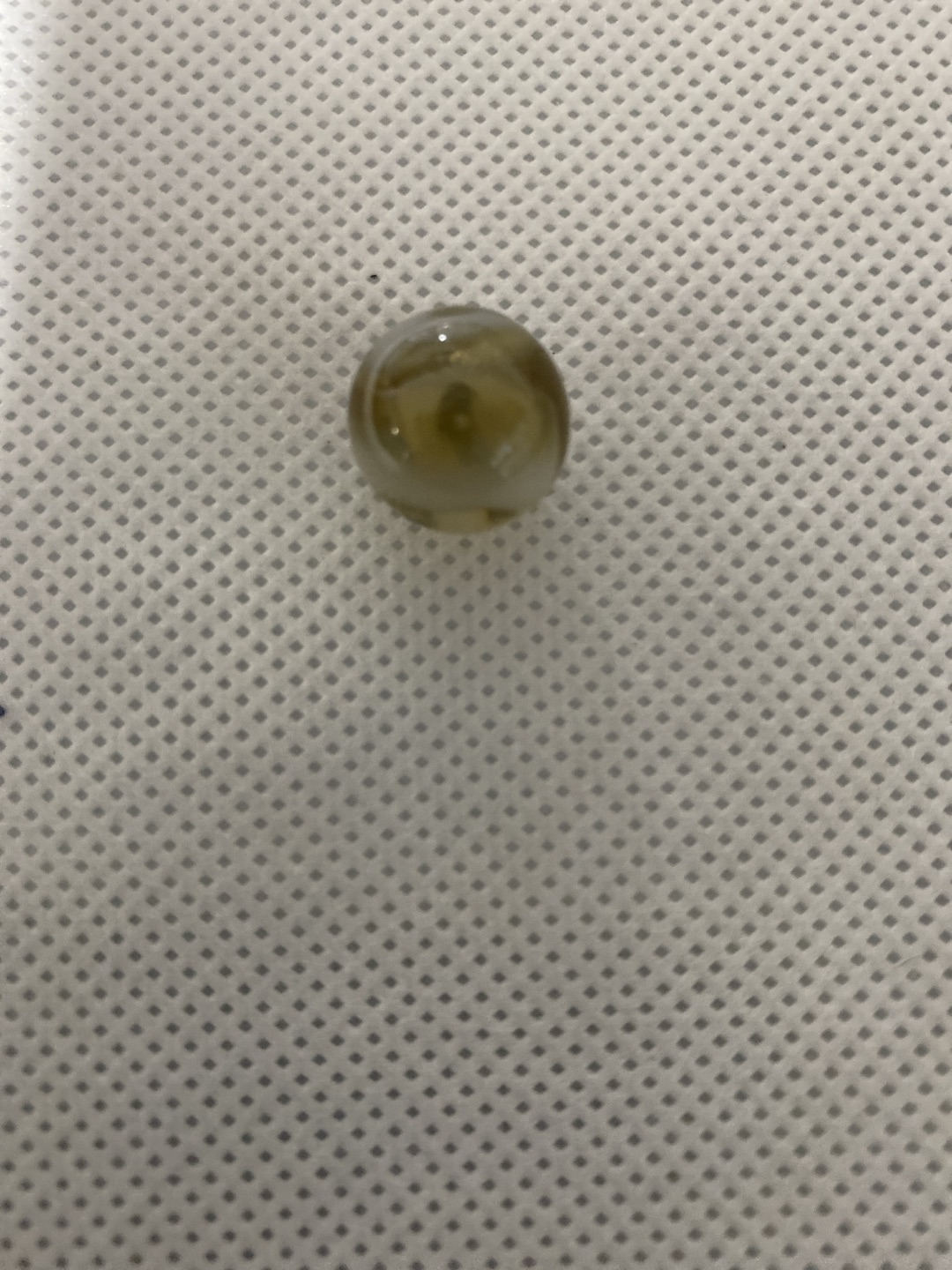 Yellow and White Multi-Vane by Vitro Agate Company, identification view