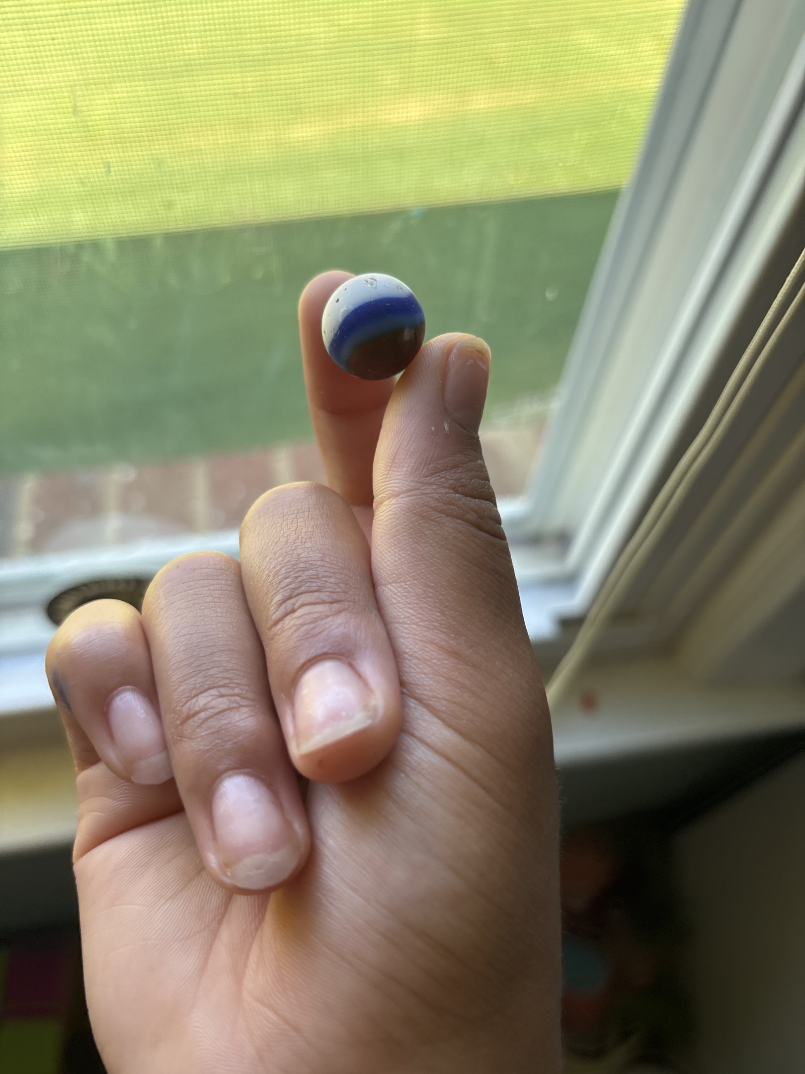 Blue and Brown Tri-lite / Conqueror by Vitro Agate Company