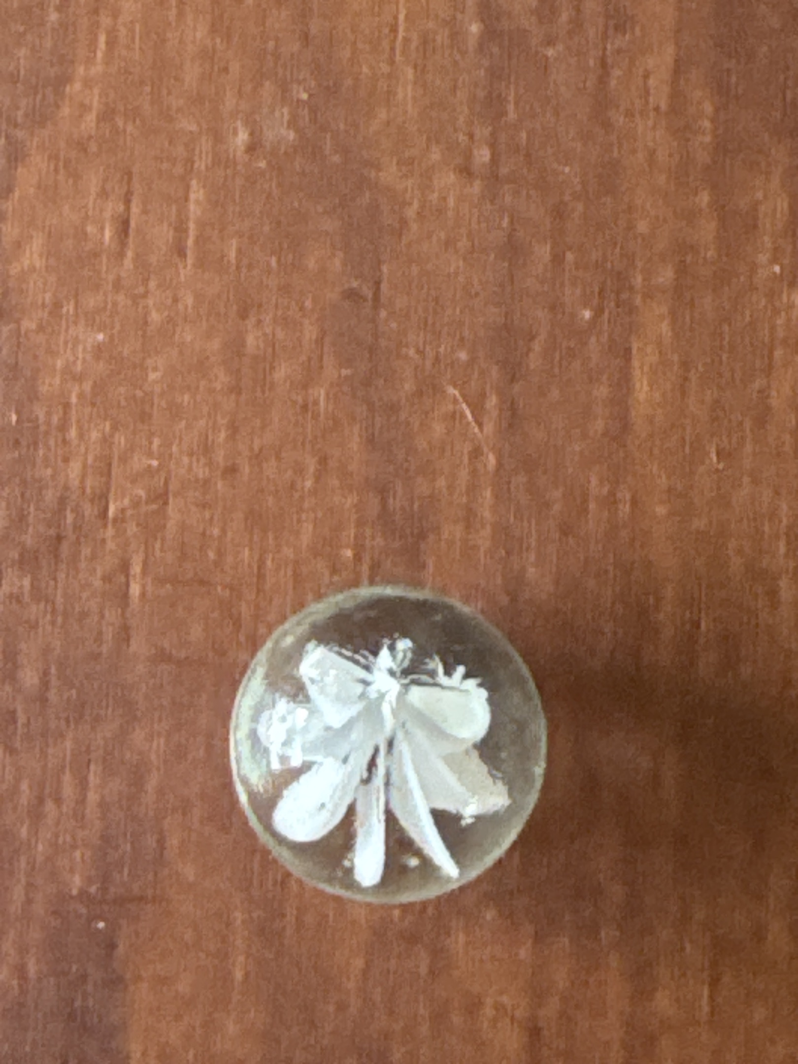 White Multi-Vane (Cage) by Japanese (Matsuno or similar)