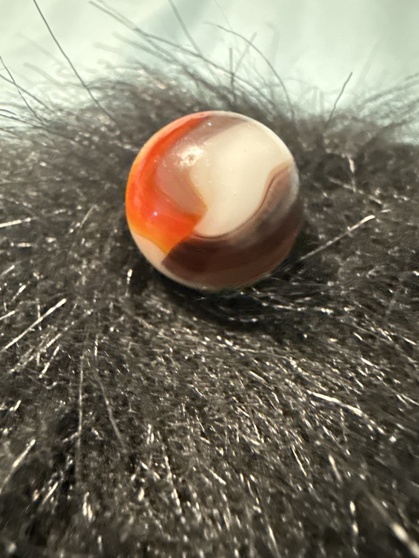 Parrot - Orange and Black on White by Vitro Agate, identification view