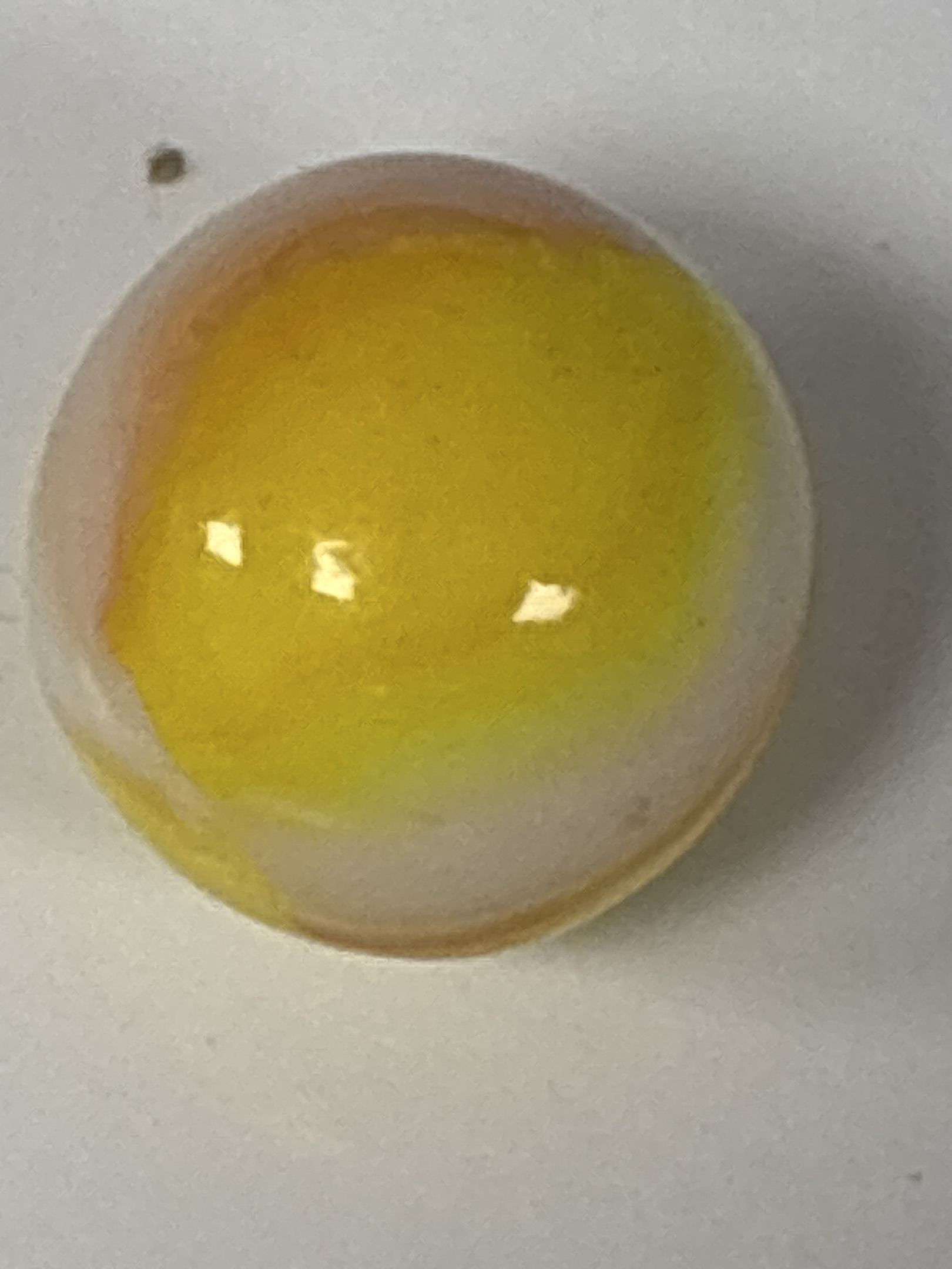 Yellow Conqueror by Vitro Agate, identification view