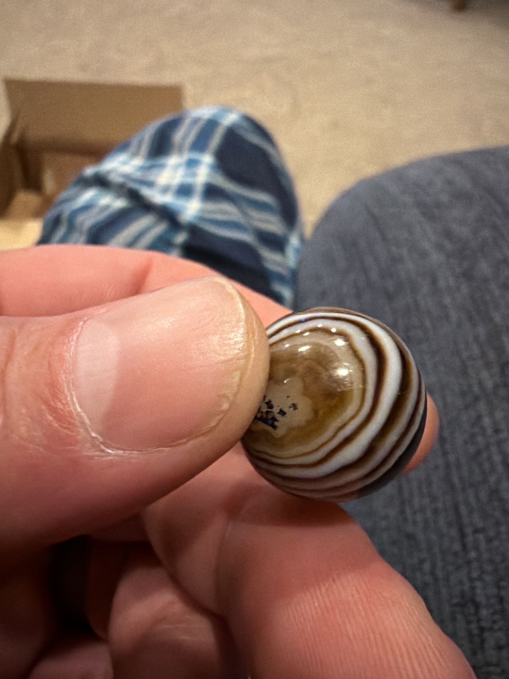 Banded Agate (Brown/White) by German Lapidary (Idar-Oberstein)