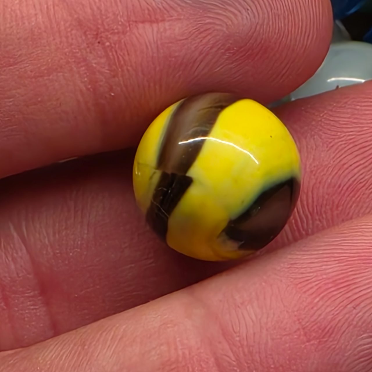 Bumblebee by Marble King