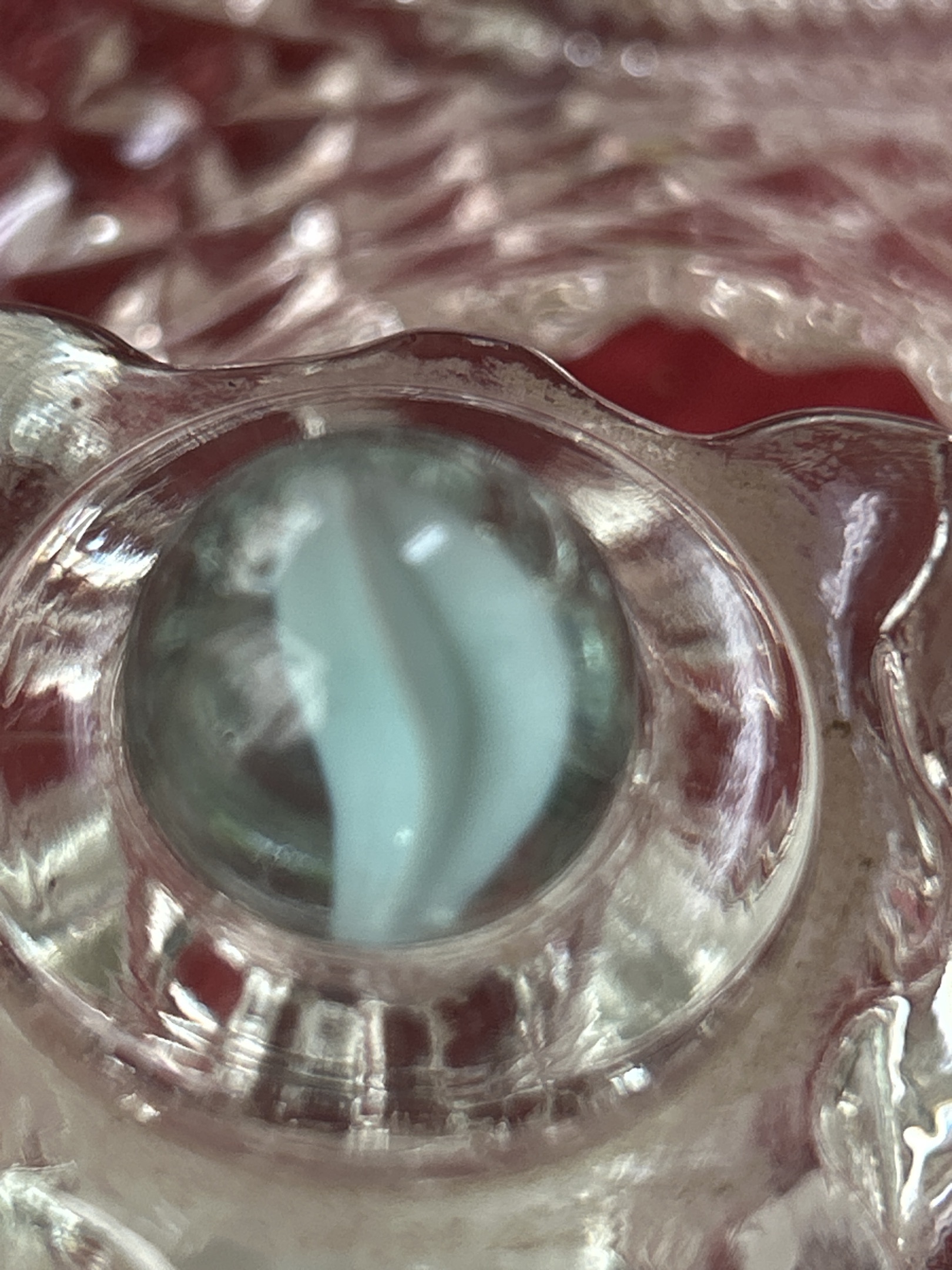 White Vane Cat's Eye by Marble King, identification view