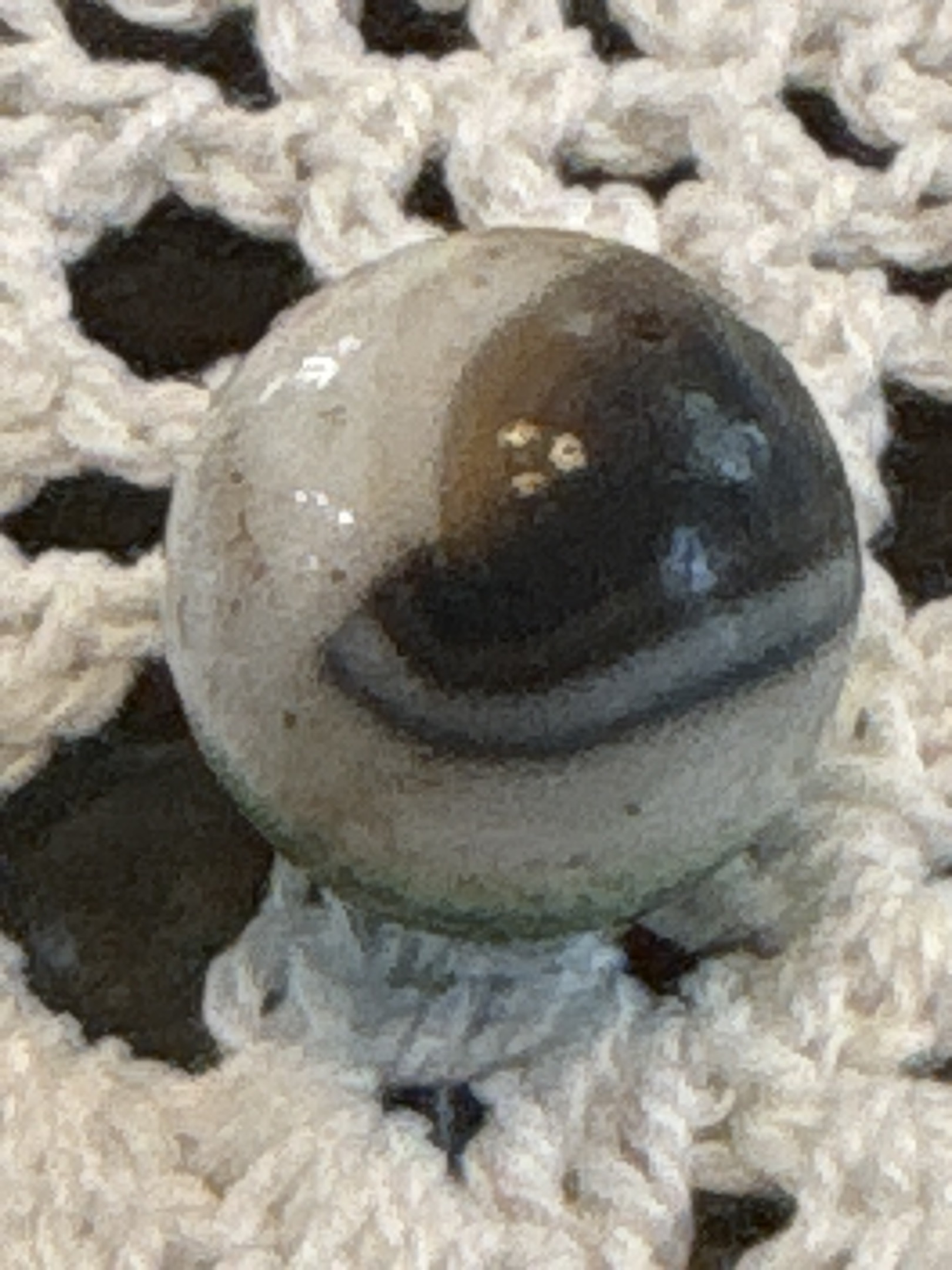 Green and Black Patch by Vitro Agate Company, identification view