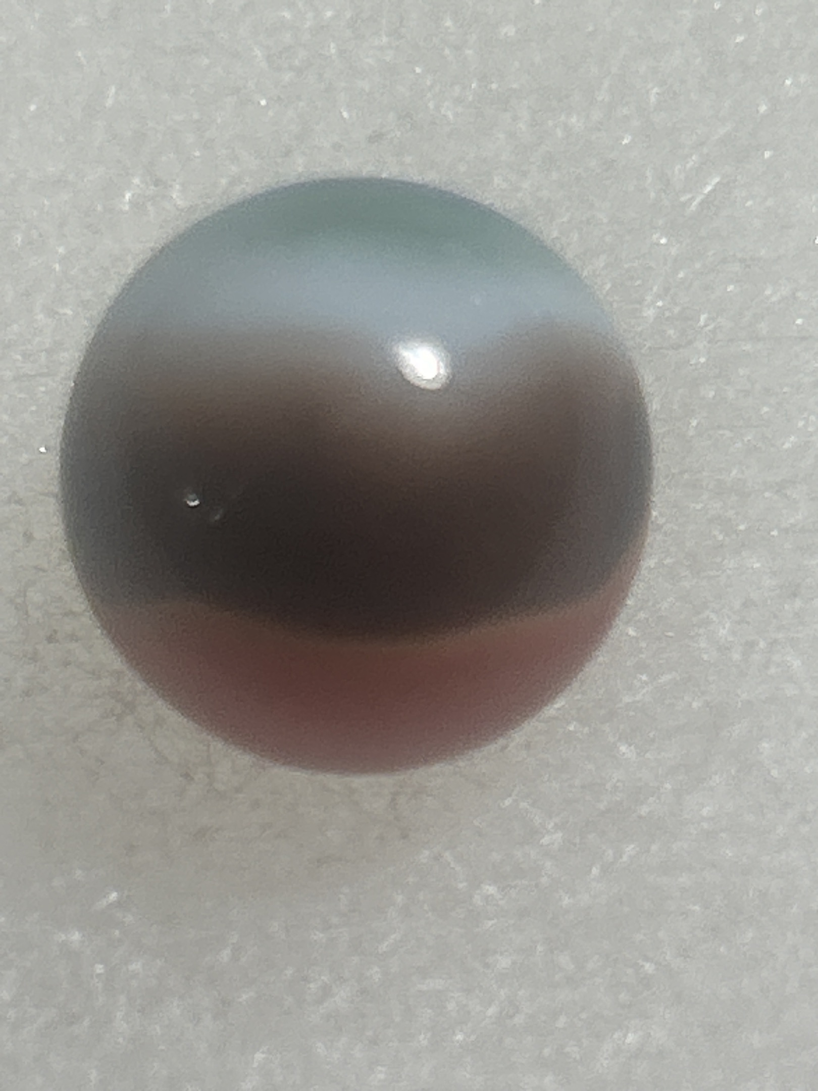 Parrot by Vitro Agate Company