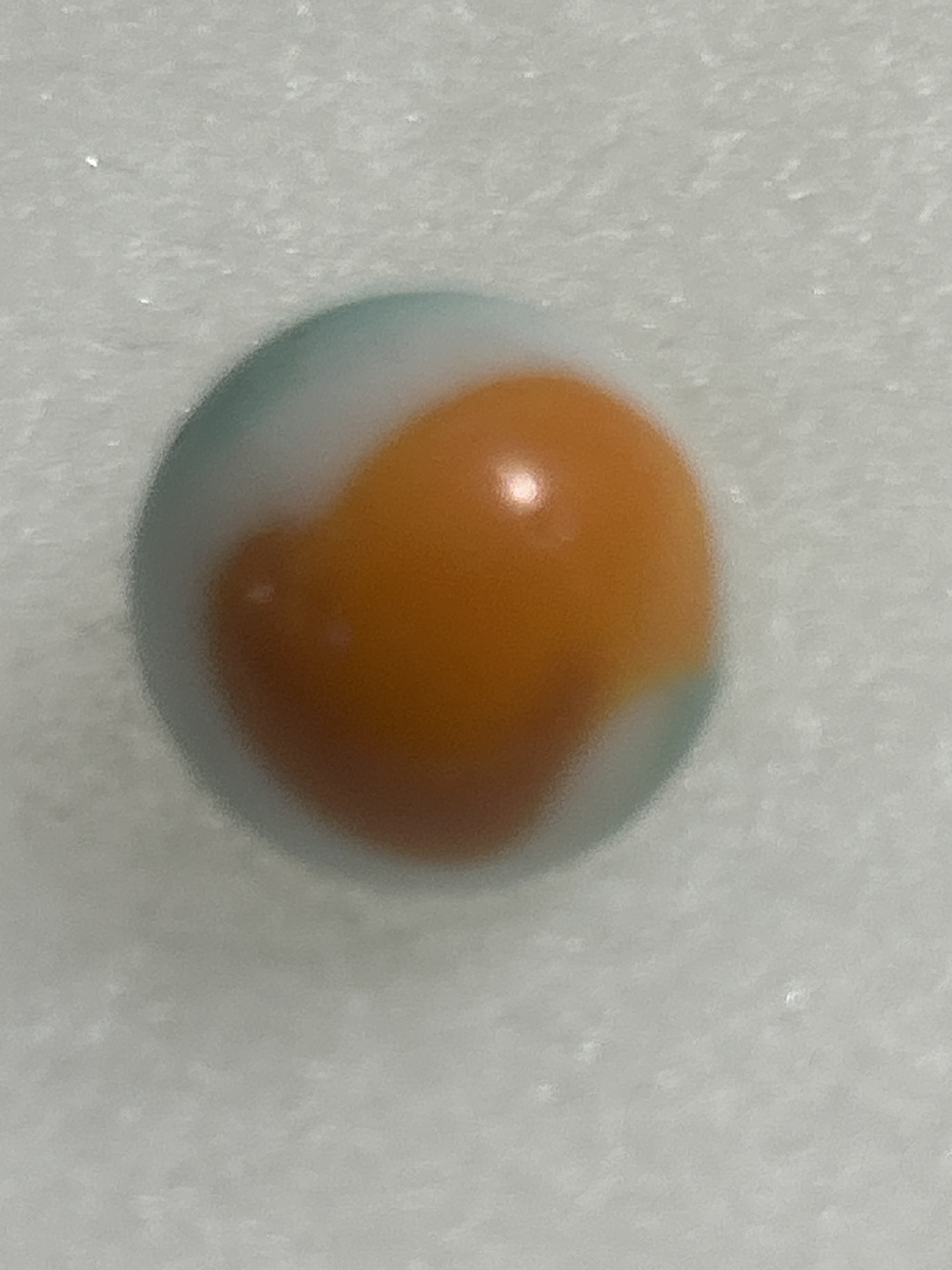 Parrot (Tri-color variant) by Vitro Agate Company, identification view