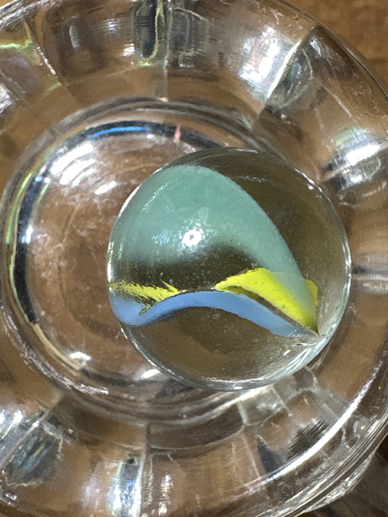 Yellow and Blue Multi-Vane by Vitro Agate Company