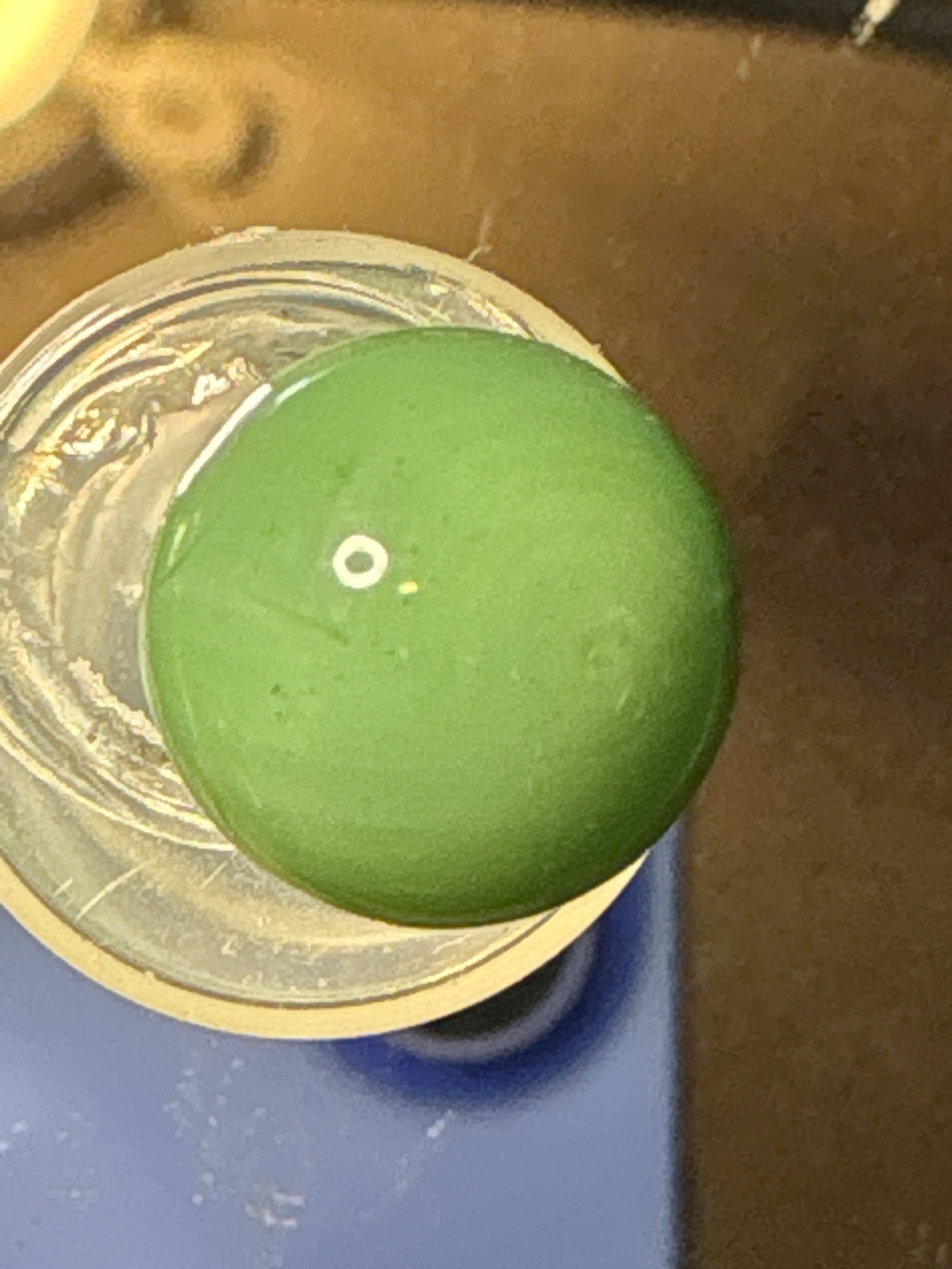 Solid Green Game Marble by Vitro Agate Company, identification view