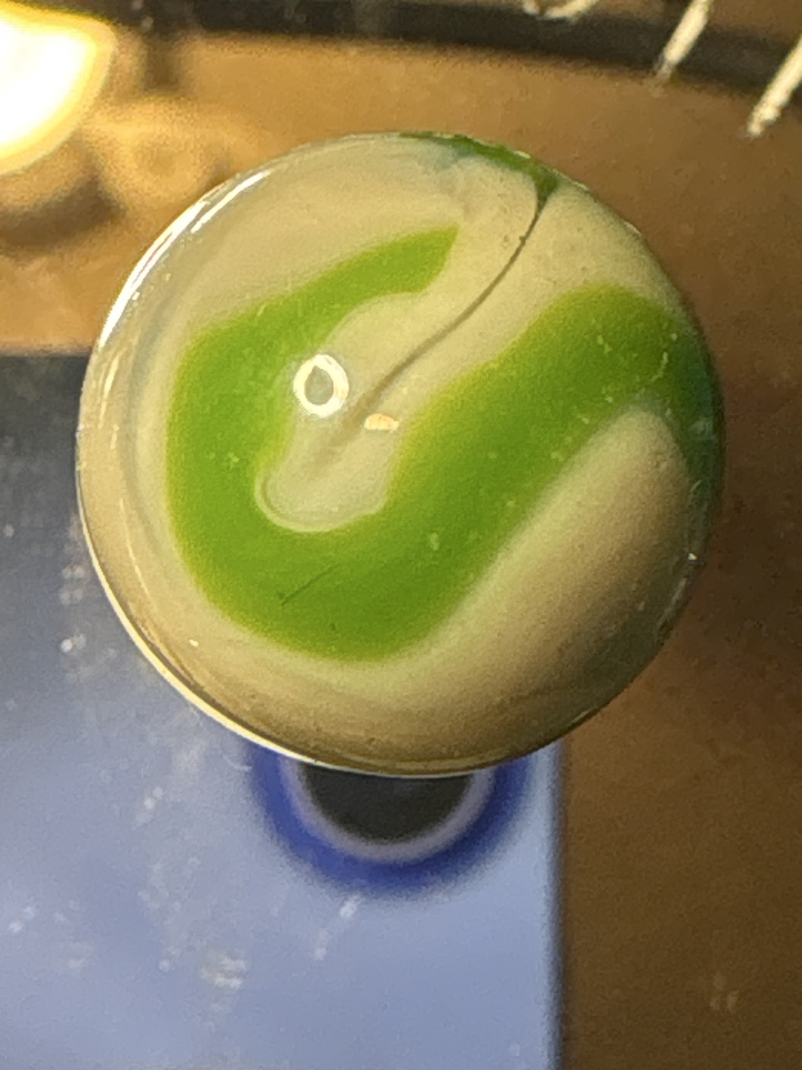 Green and Cream Swirl by Alley Agate, identification view