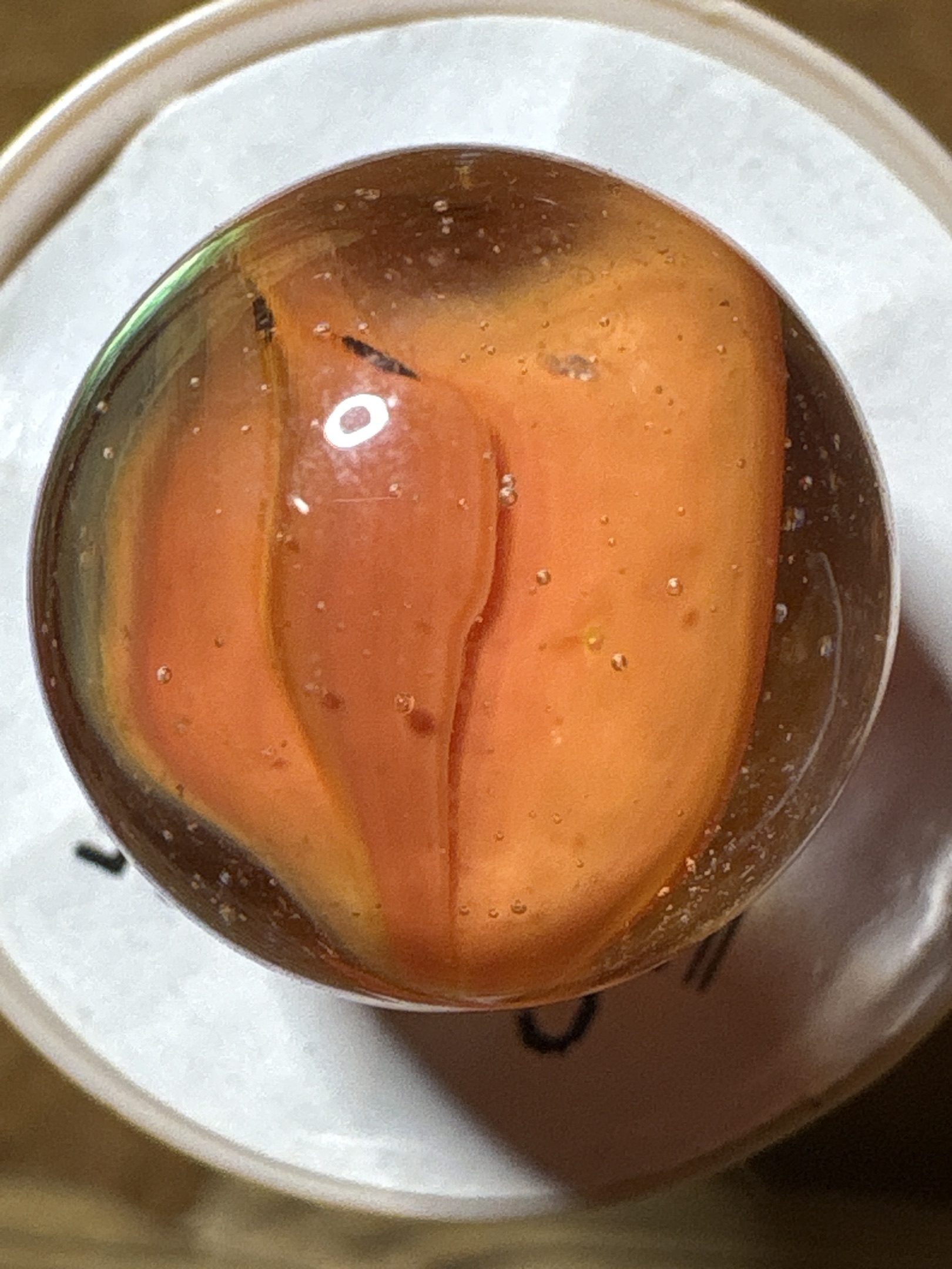 Single-Vane Orange by Vitro Agate Company