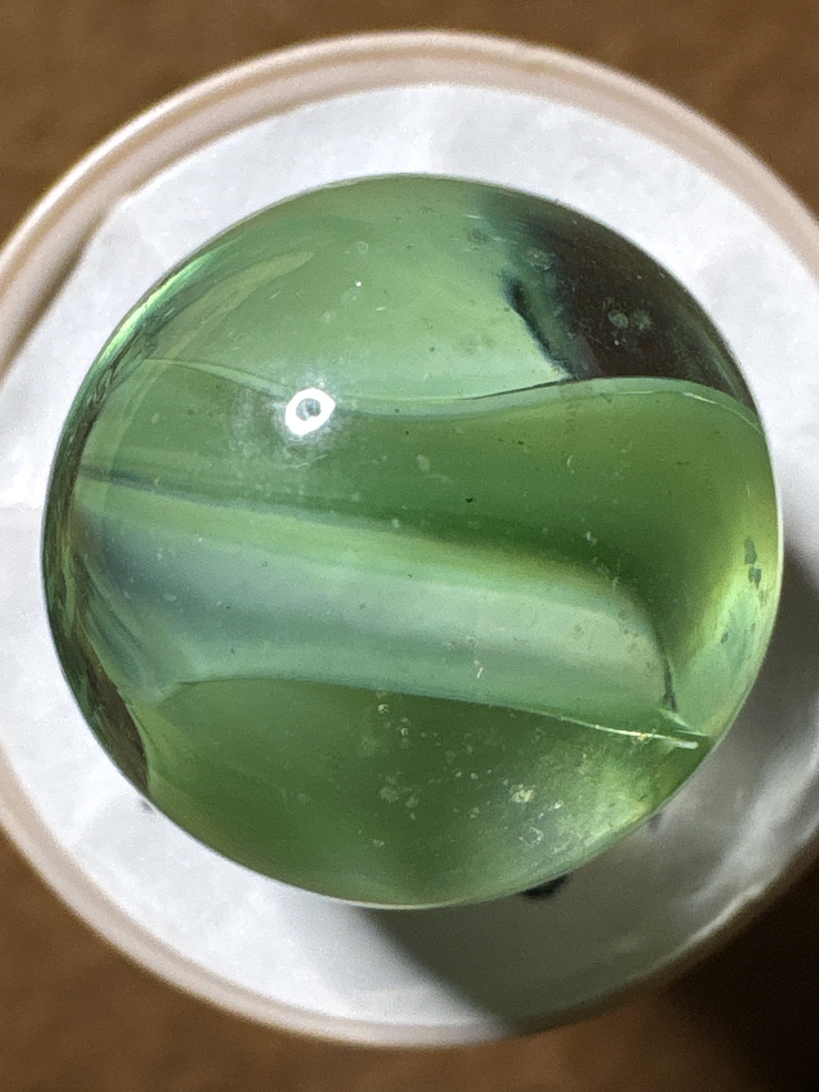Green & Black Hybrid by Japanese (Import)