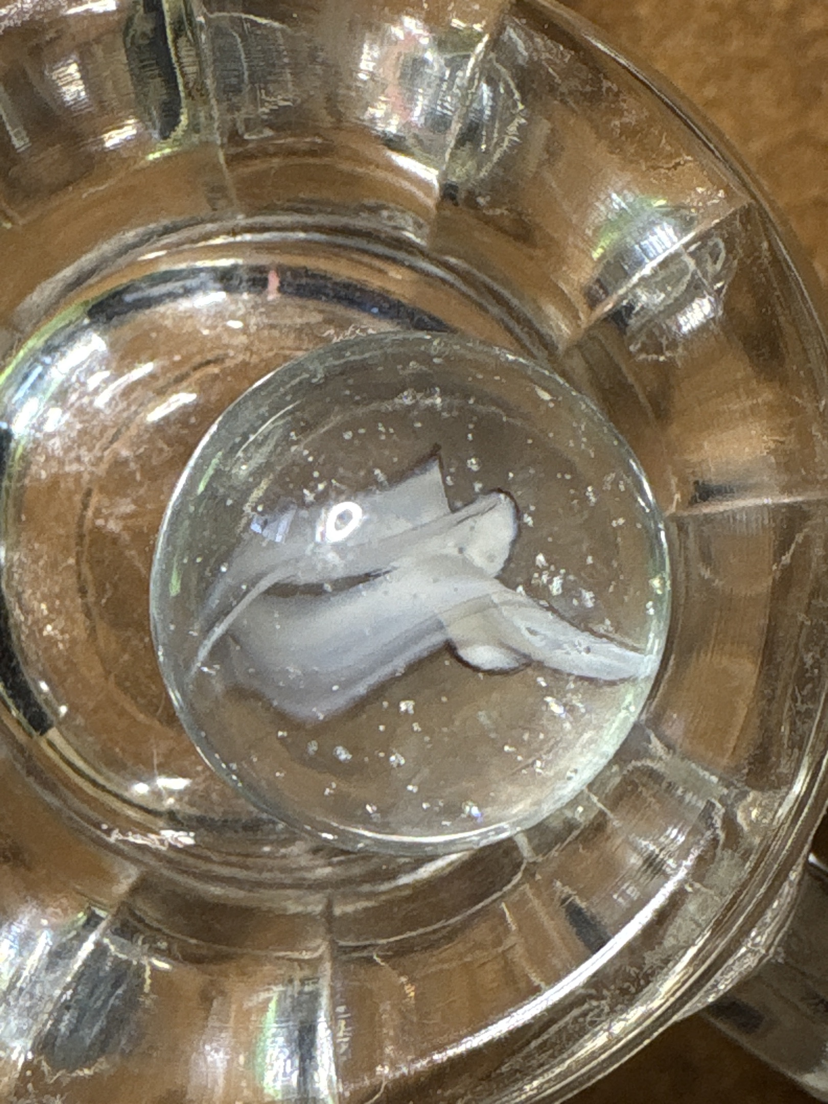 White Vane by Japanese (Generic)