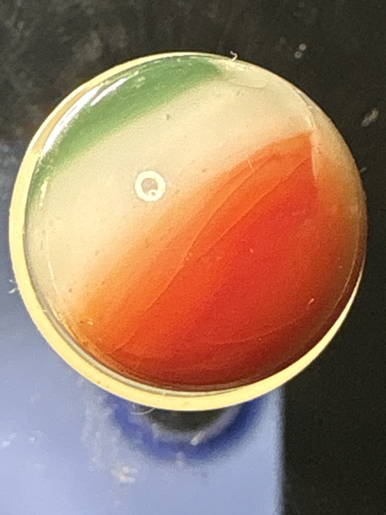 Red, White, and Green (Italian/Christmas) by Vitro Agate Company, identification view