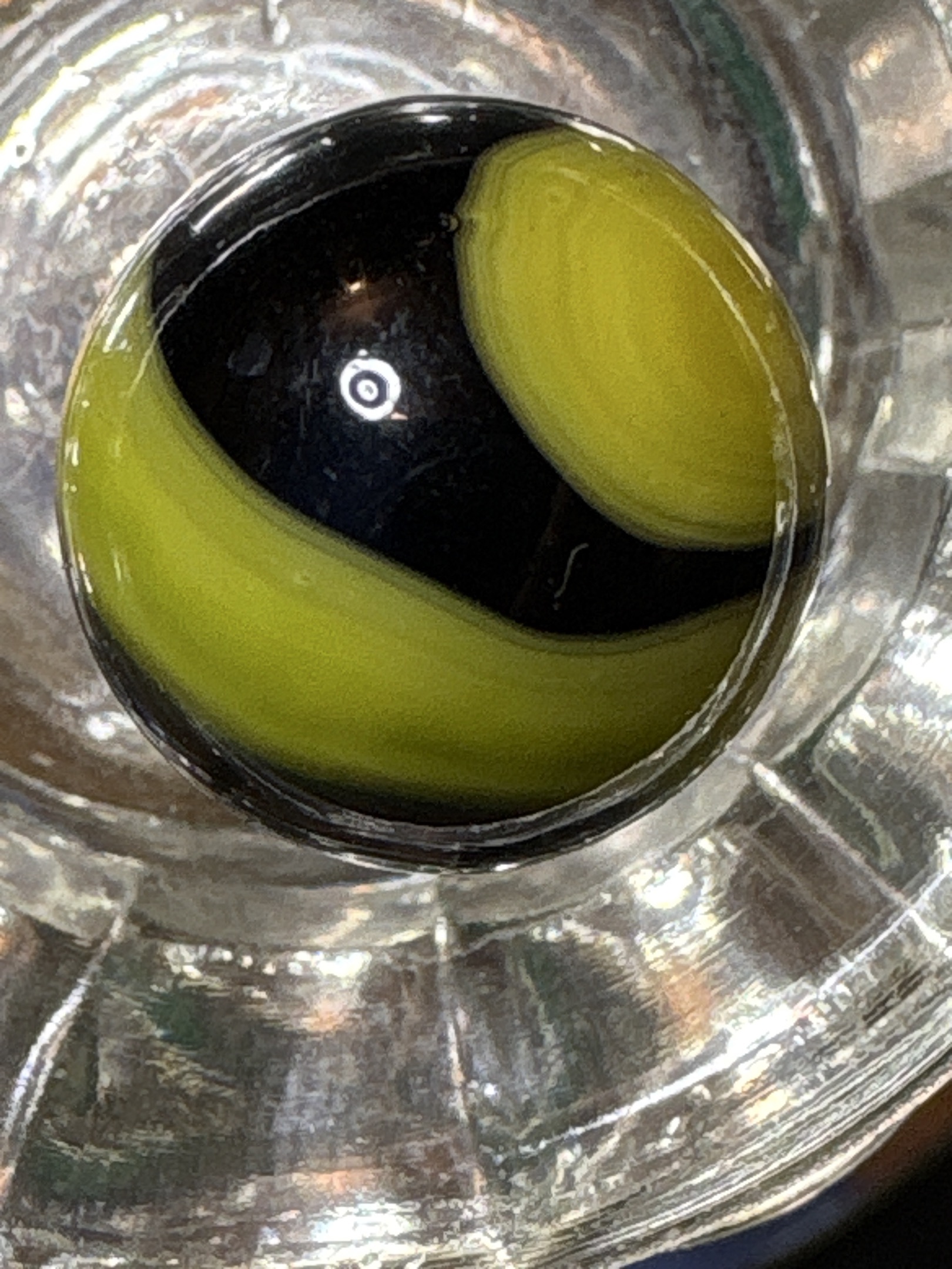 Black and Lime Green Swirl by Alley Agate, identification view