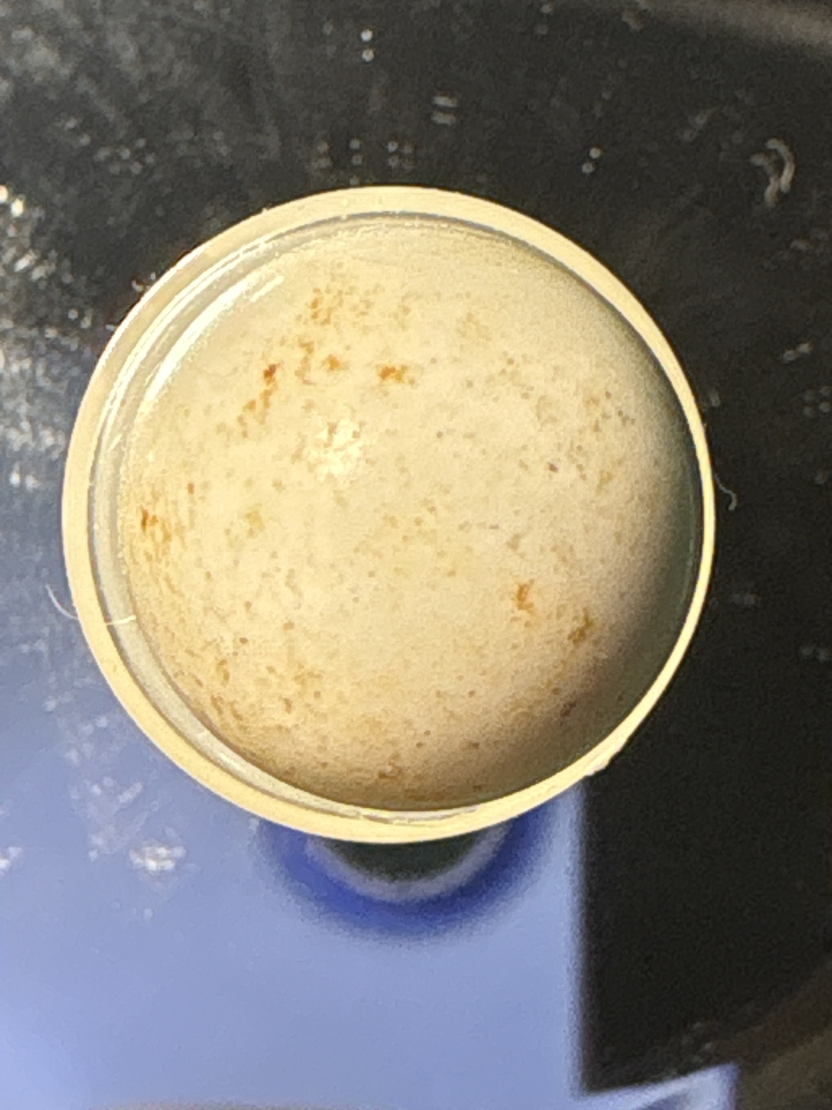 Bennington (Salt-Glazed) by Various (German and American), identification view