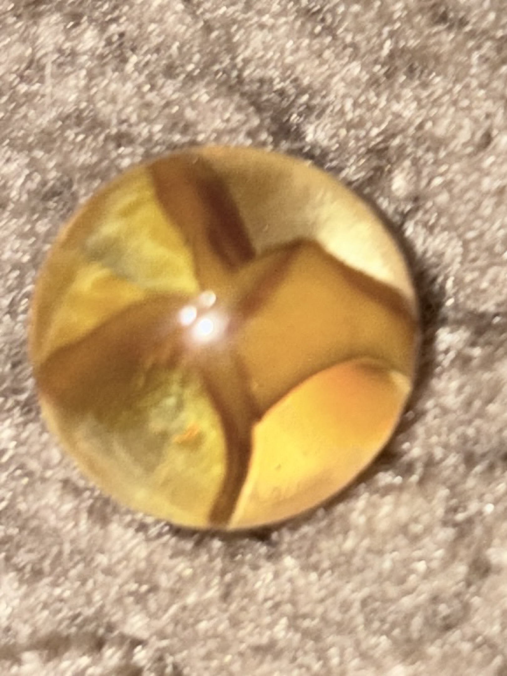 Honey Amber 4-Vane Cat's Eye by Vitro Agate, identification view