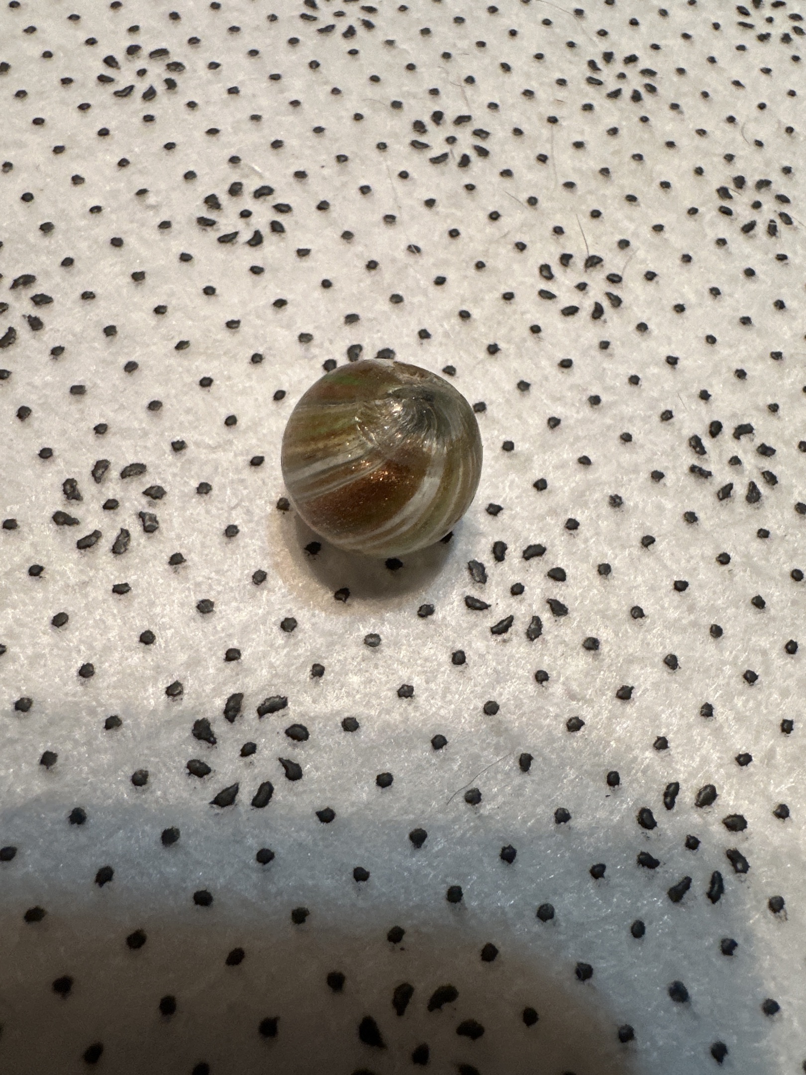Brown Lutz Onionskin by German Handmade (Thuringian), identification view