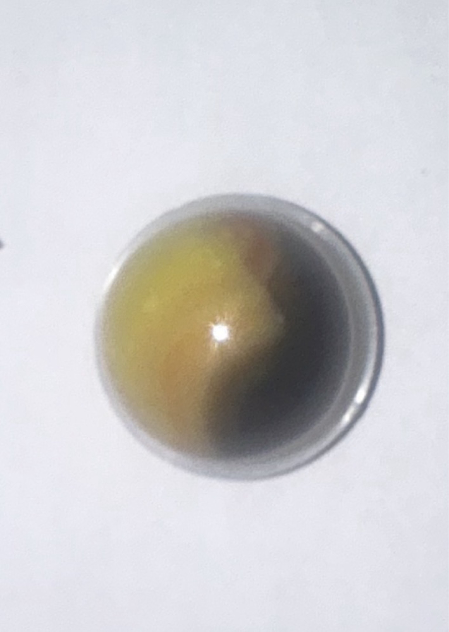 Yellow and Black Multi-Vane by Vitro Agate Company