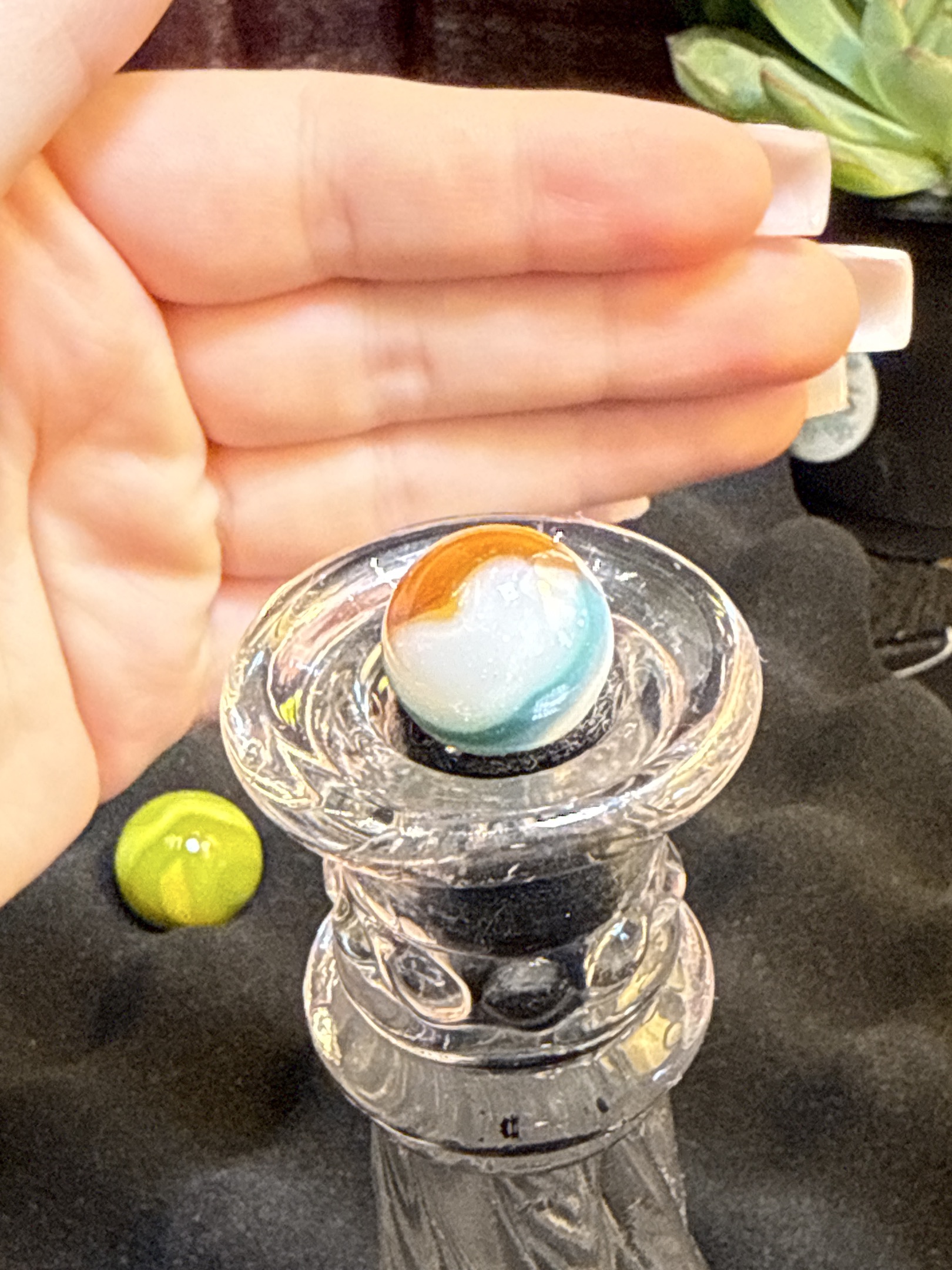 Tri-color by Marble King, identification view