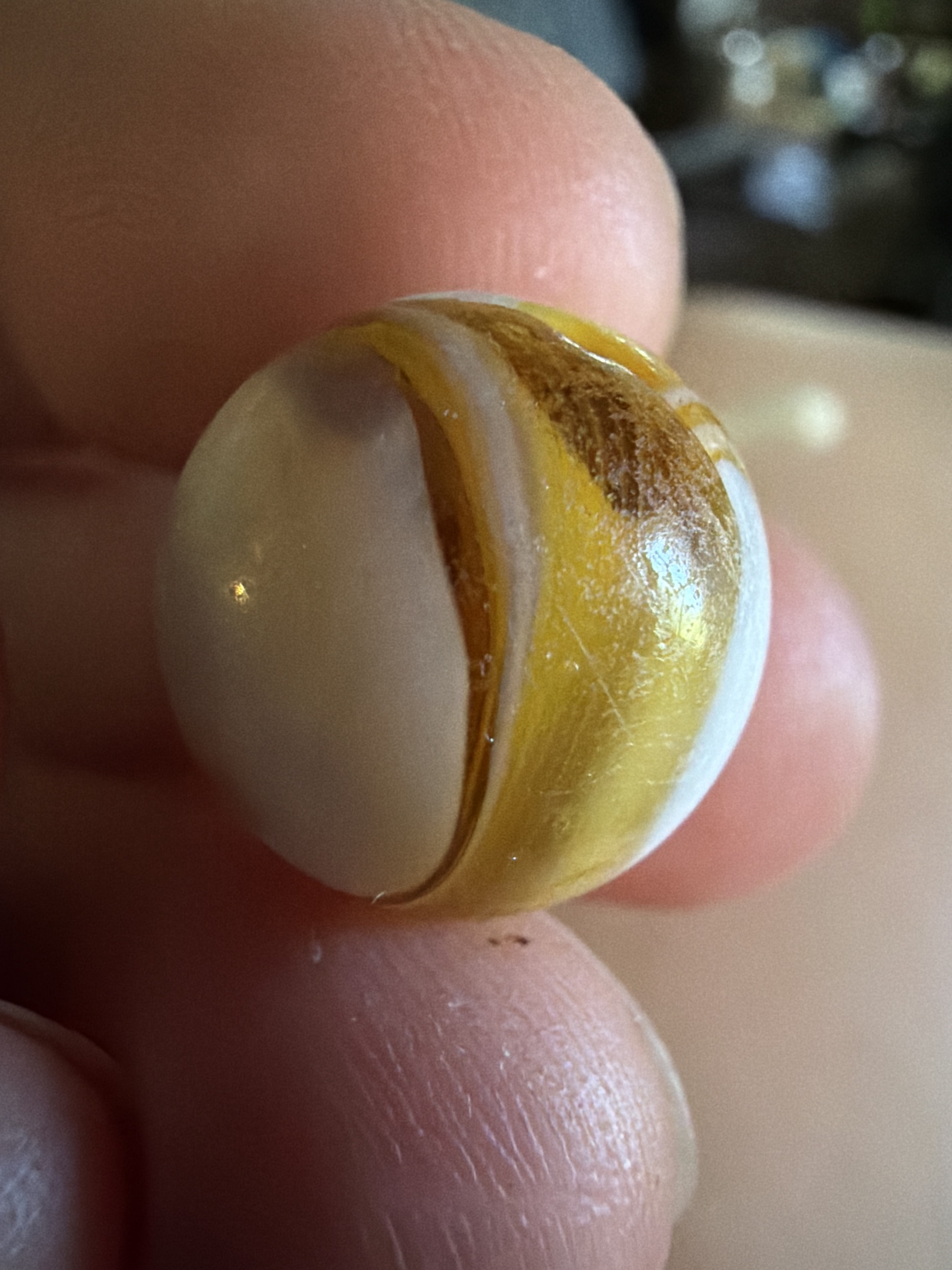 Butterscotch Swirl by Alley Agate, identification view