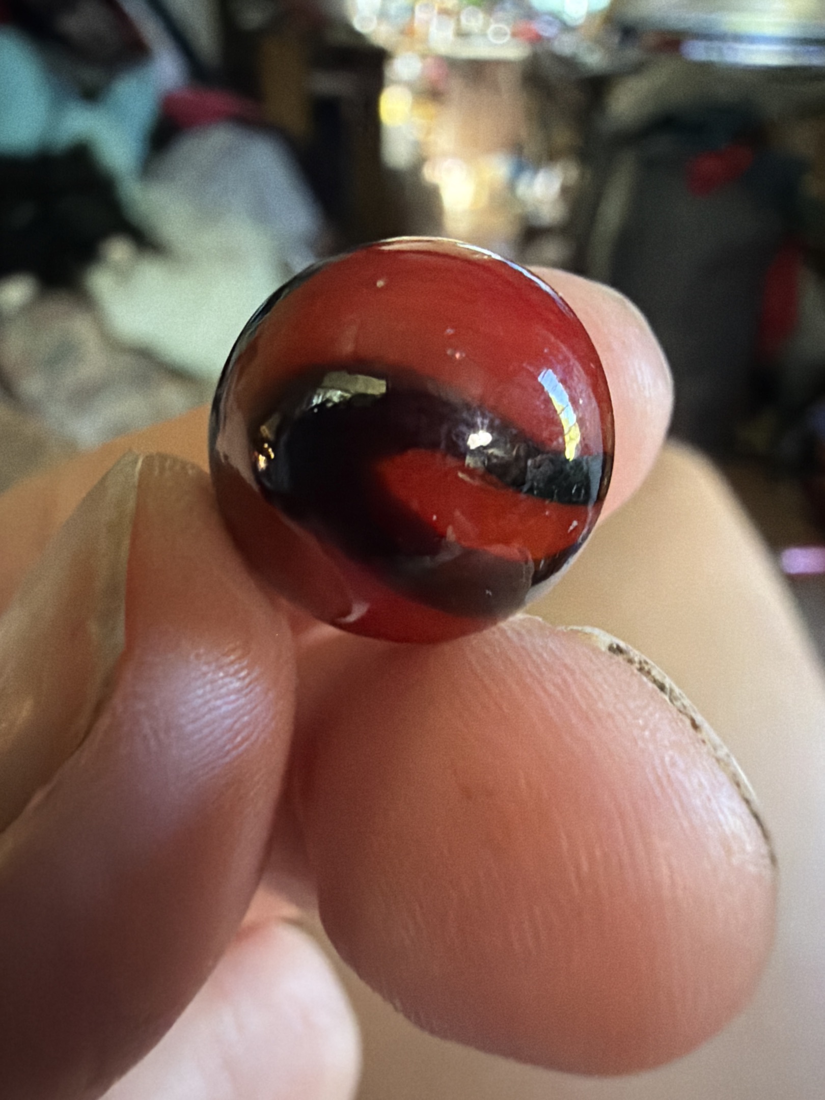 Ladybug by House of Marbles, identification view