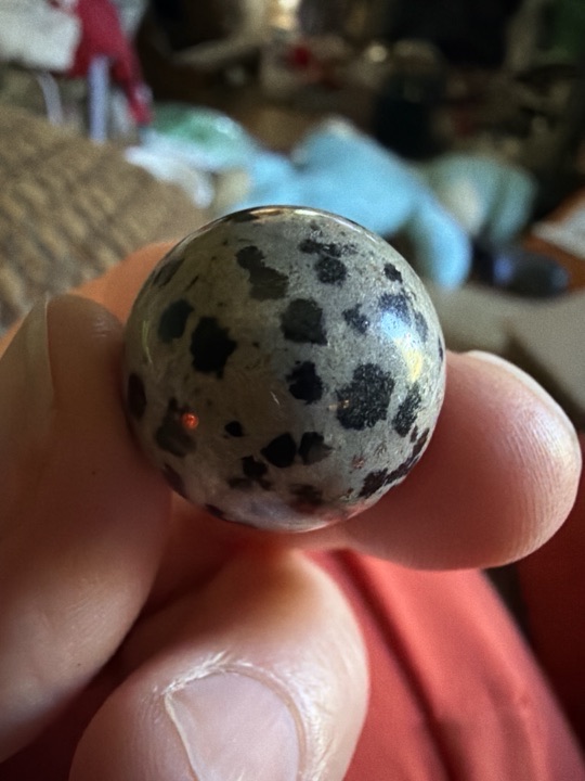 Dalmatian Jasper Standard by Natural / Modern Lapidary, identification view