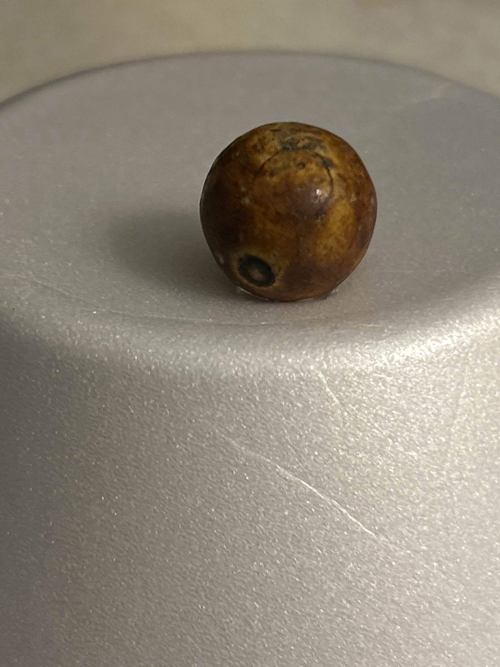 Bennington (Brown) by German or American Pottery Manufacturers, identification view