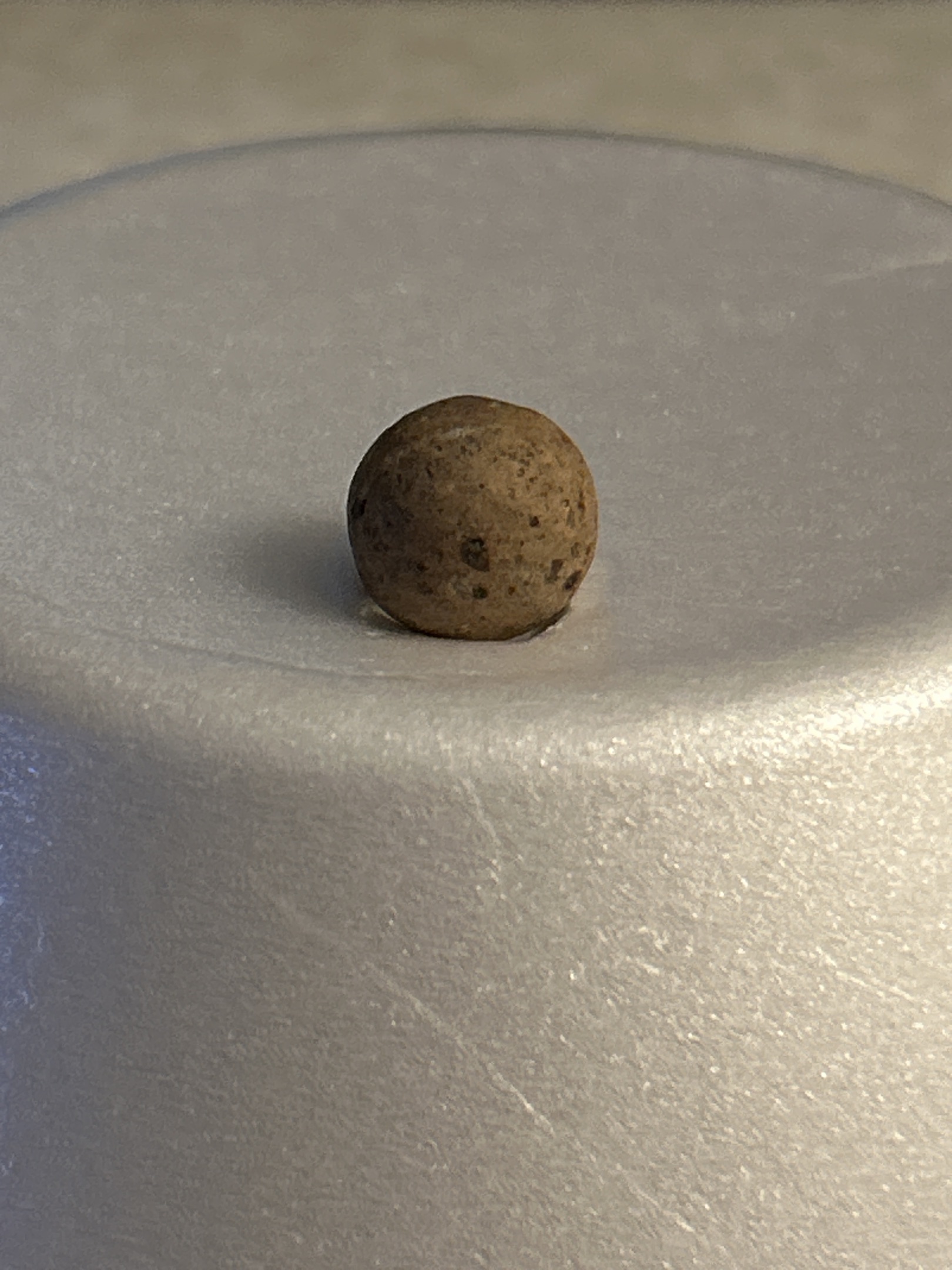 Unpainted Commoney (Speckled) by Unknown / Cottage Industry, identification view