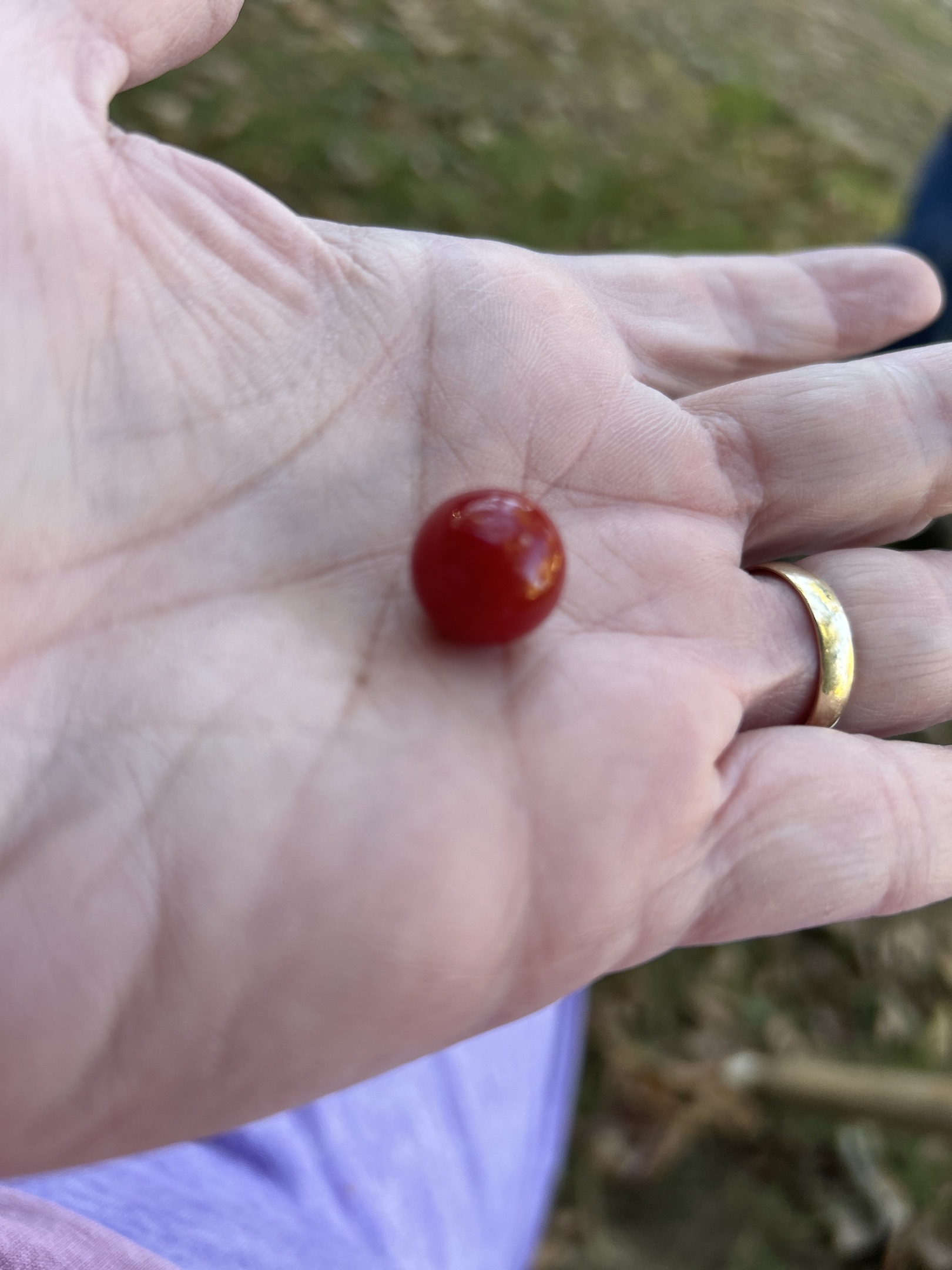 Cherry Red Opaque by Vitro Agate Company