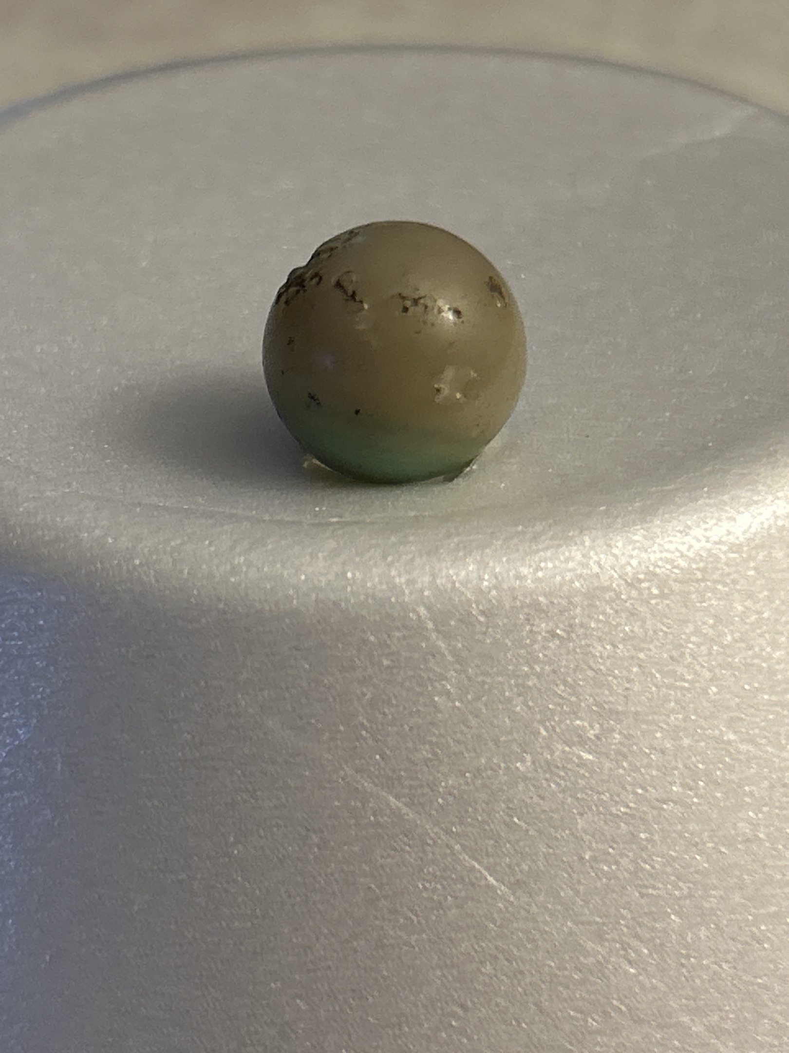 Glazed Clay / Bennington-Style Green and Brown by Unknown German or American Earthenware Manufacturer, identification view