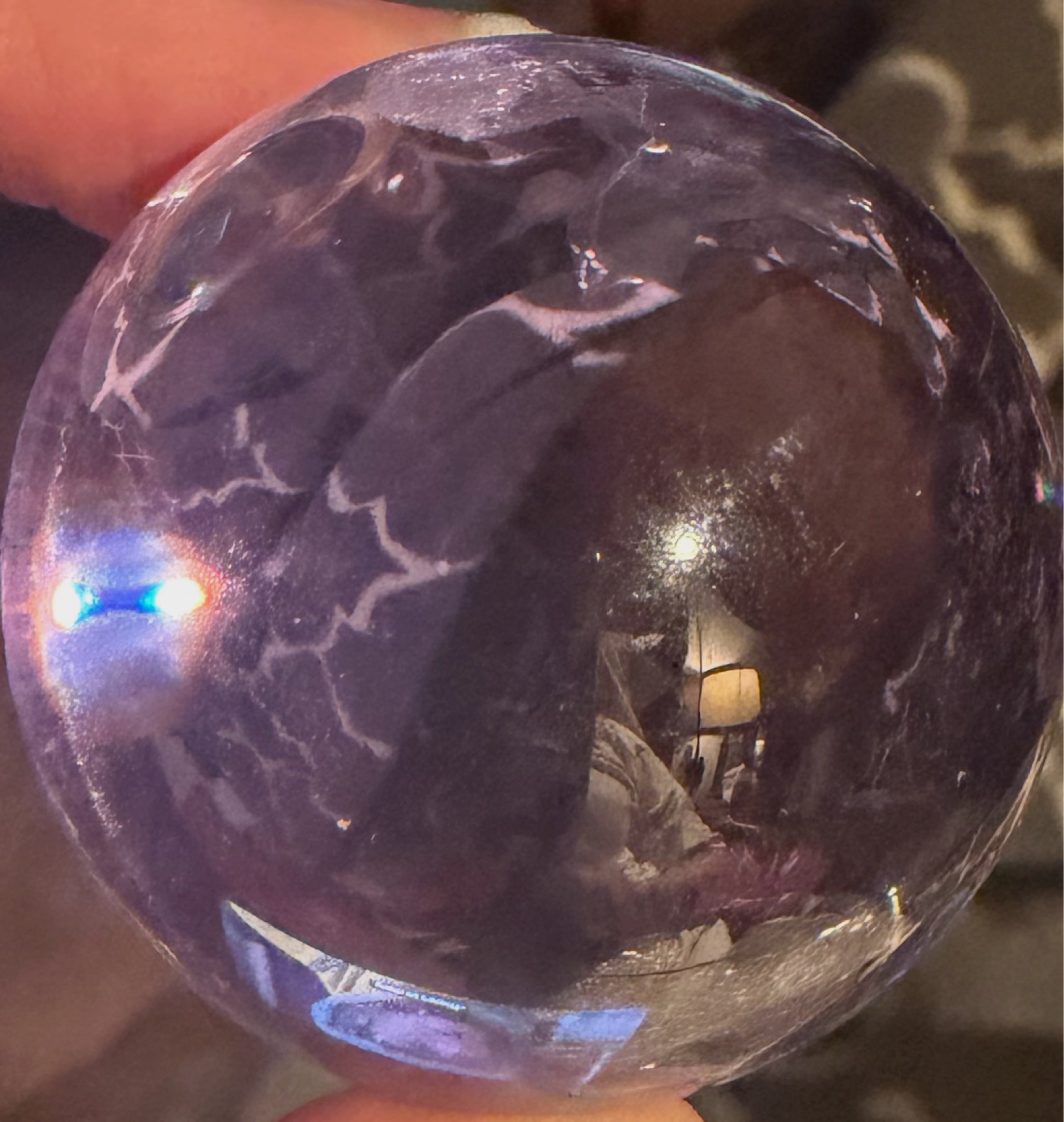Giant Lavender Clear by Vacor de Mexico, identification view