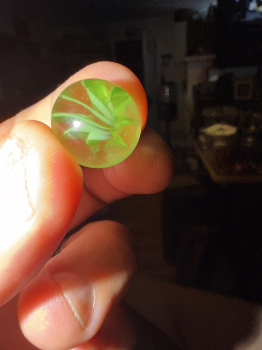 Green Cat's Eye on Clear by Vitro Agate, identification view