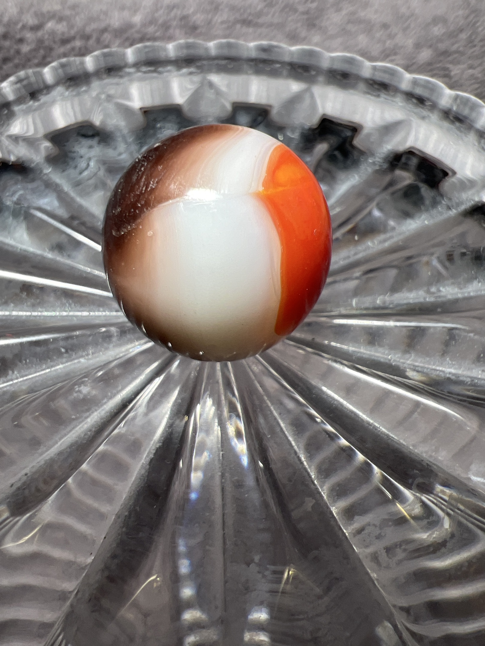 Conqueror (Orange/Black/White) by Vitro Agate Company, identification view