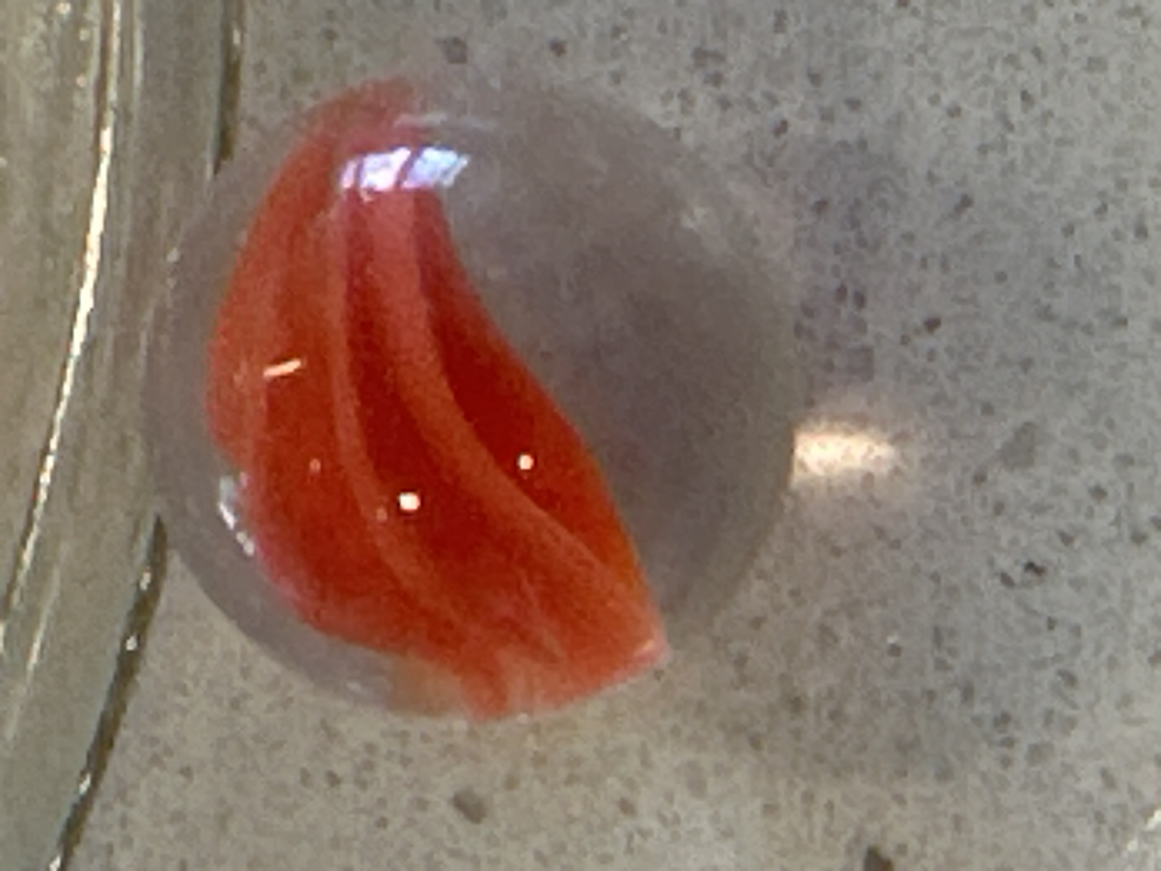 Sunset by Peltier Glass Company