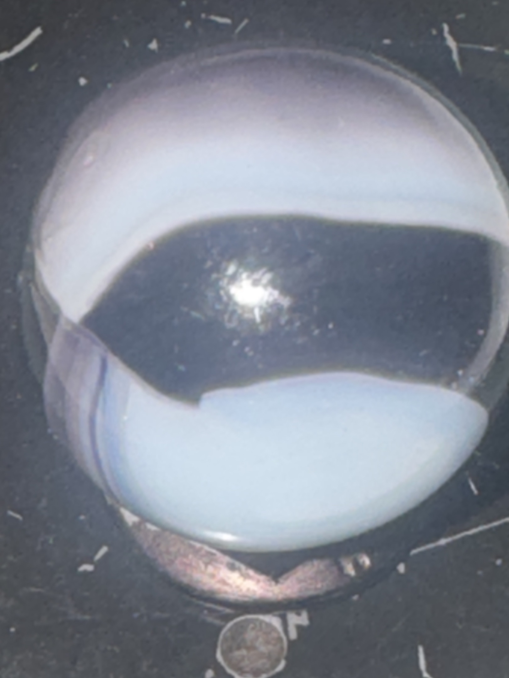 White Cat's Eye - Black Window by Vitro Agate, identification view