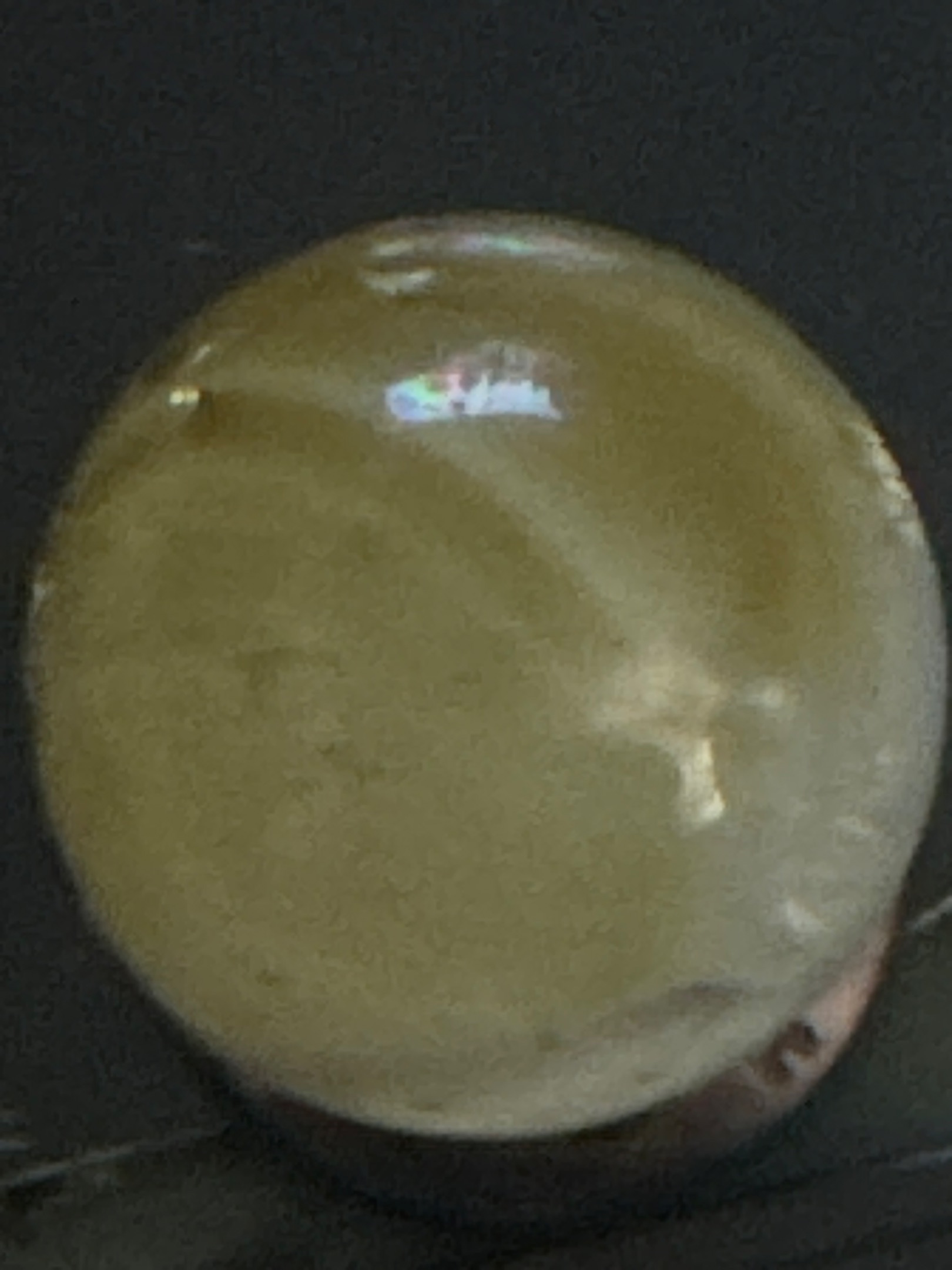 Honey Yellow Clearie by Vitro Agate