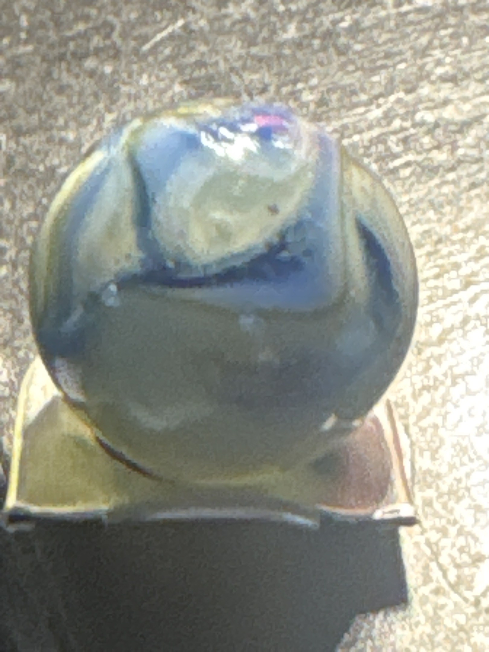 Popeye (Blue and Yellow/Cream) by Akro Agate