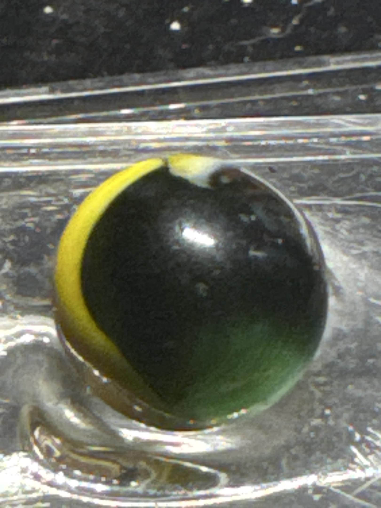 Yellow and Black Swirl by Akro Agate Company, identification view